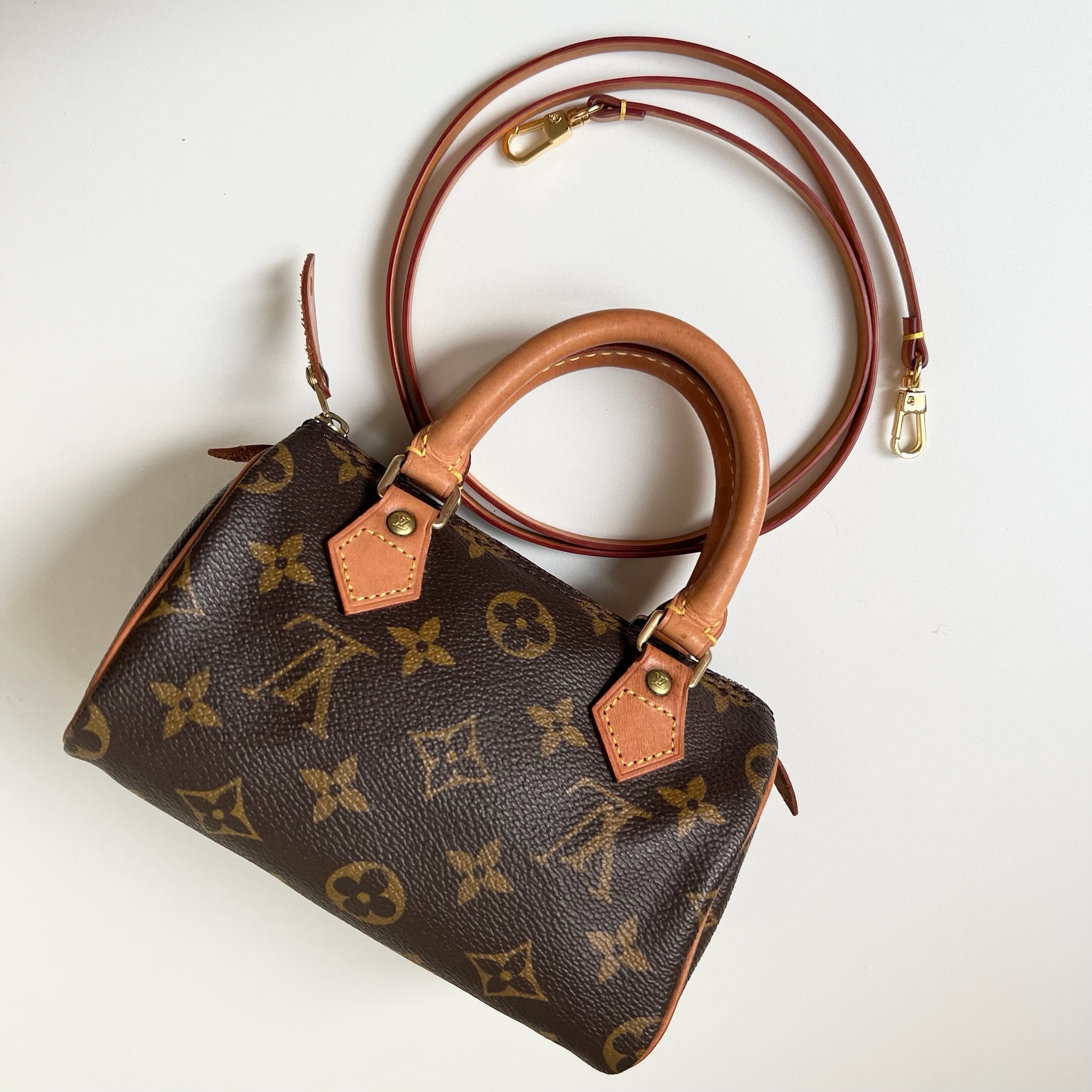 IMG_8217-1729612452946