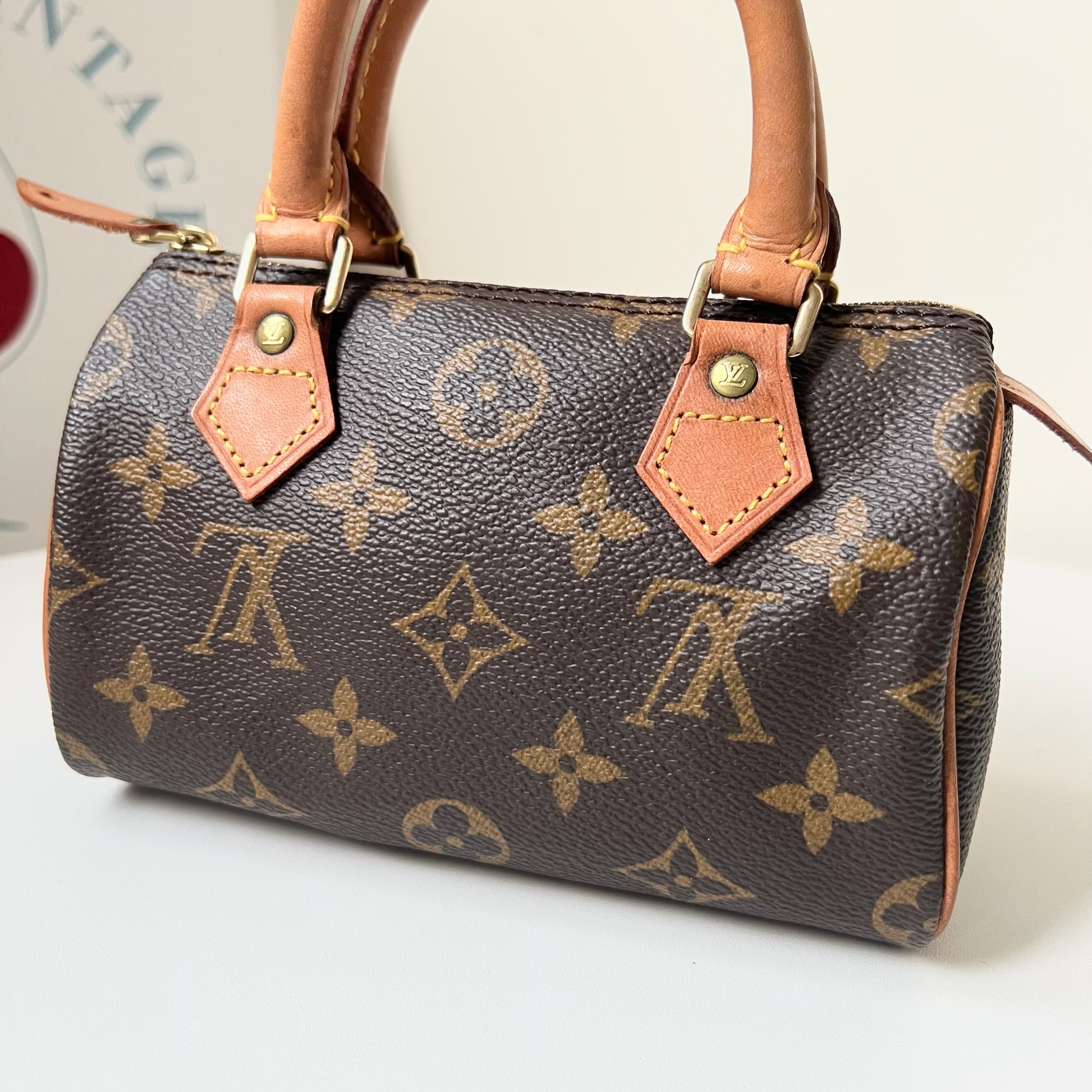 IMG_8205-1729612452983