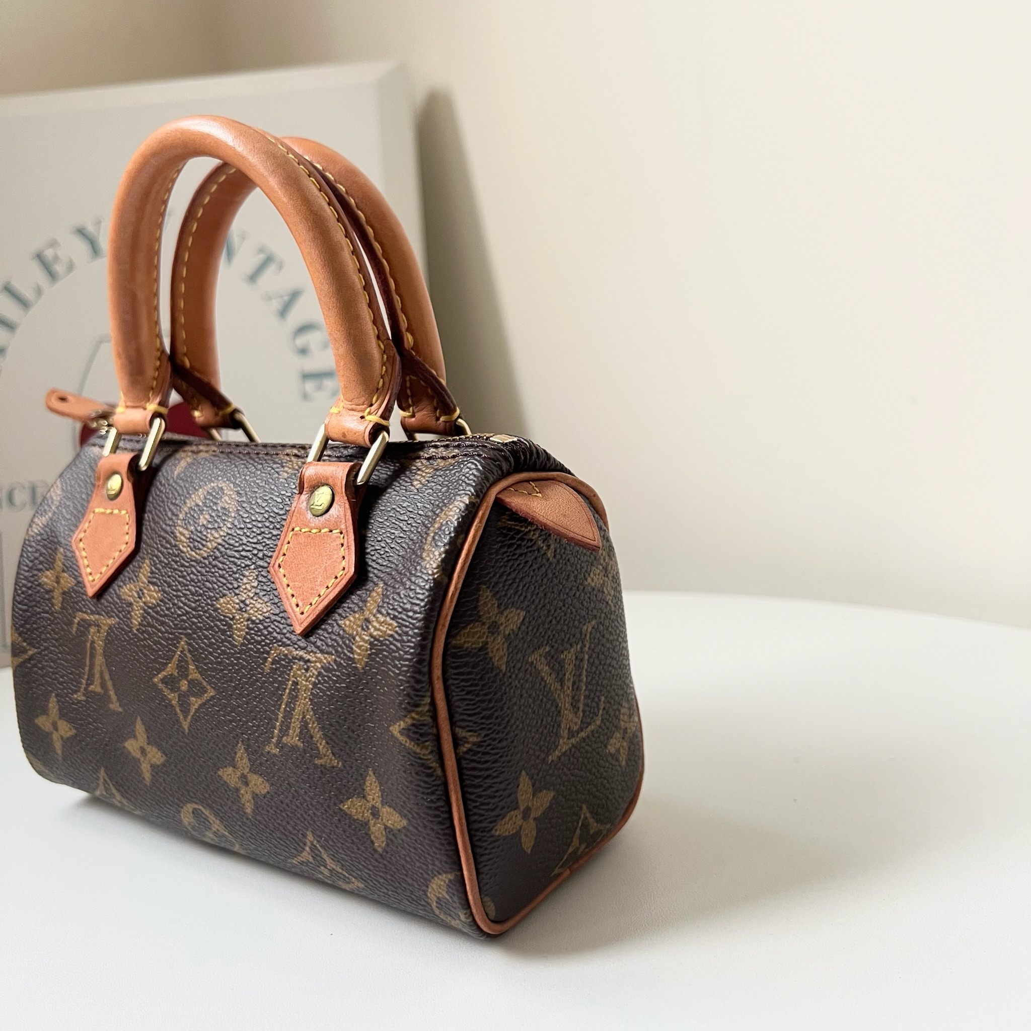 IMG_8206-1729612452988