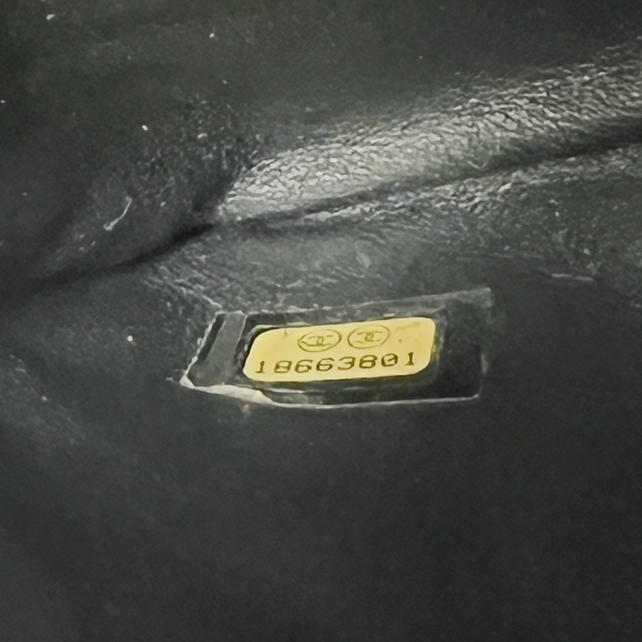 IMG_8108-1729612520091