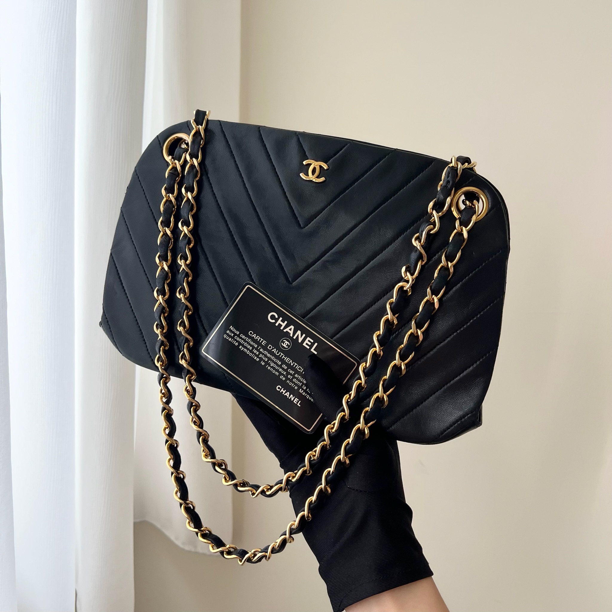 IMG_8145-1729612792480