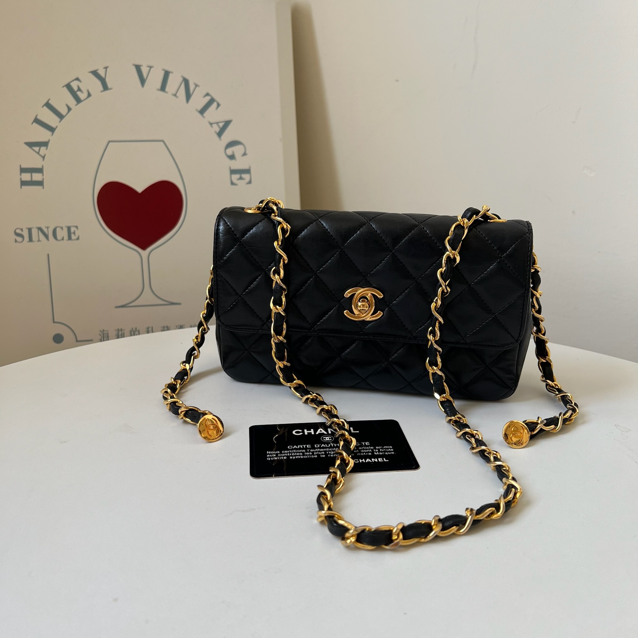 IMG_1364-1731328179248