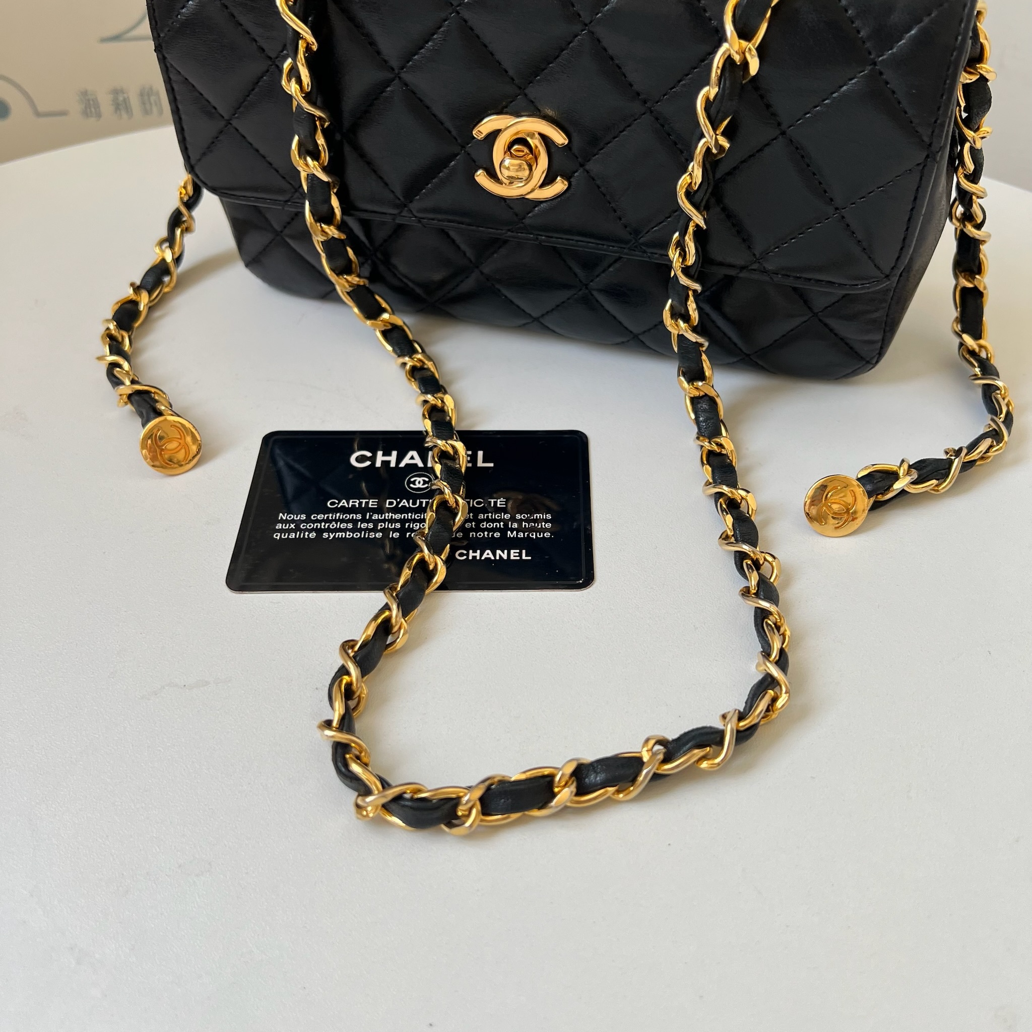 IMG_1365-1731328179259