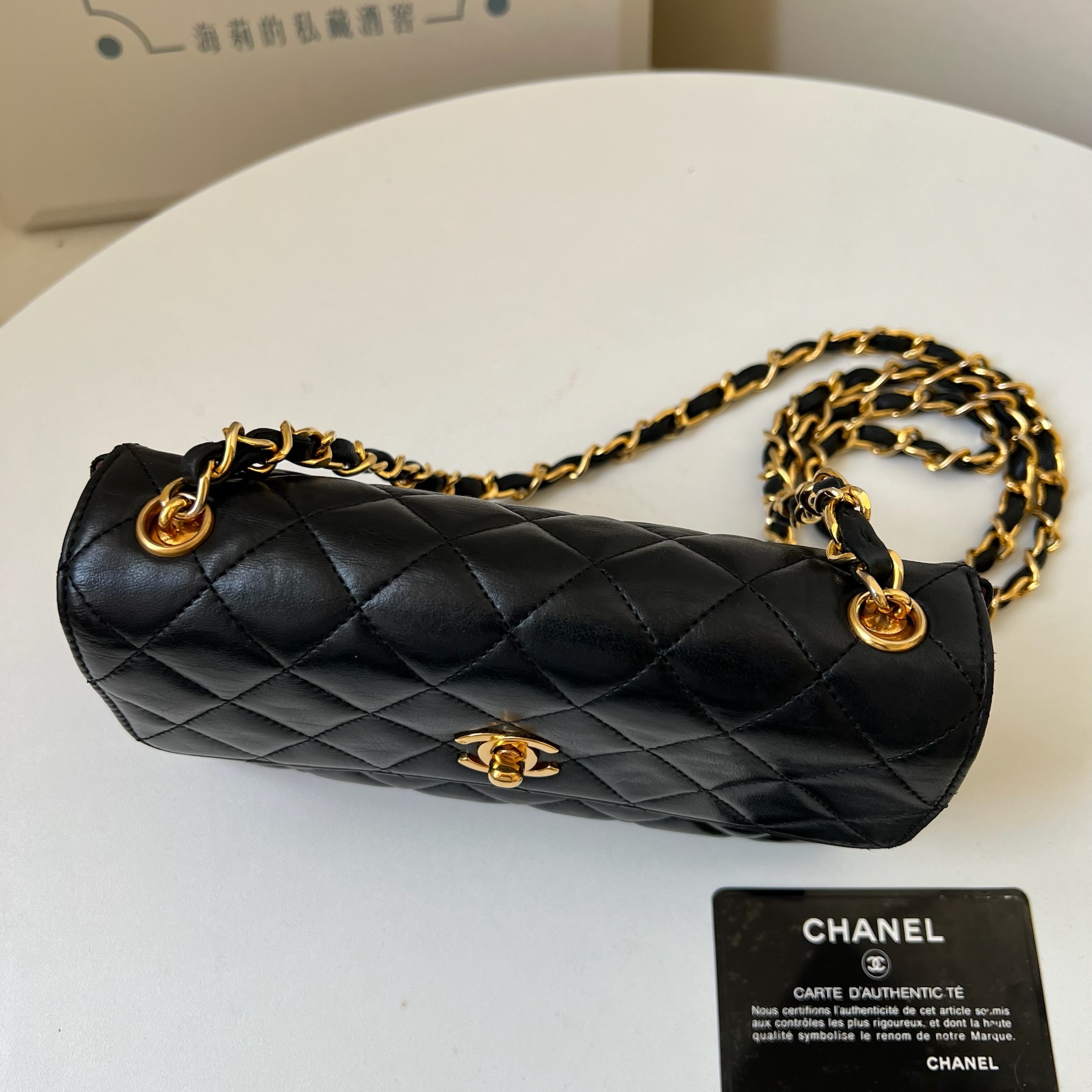 IMG_1373-1731328179273