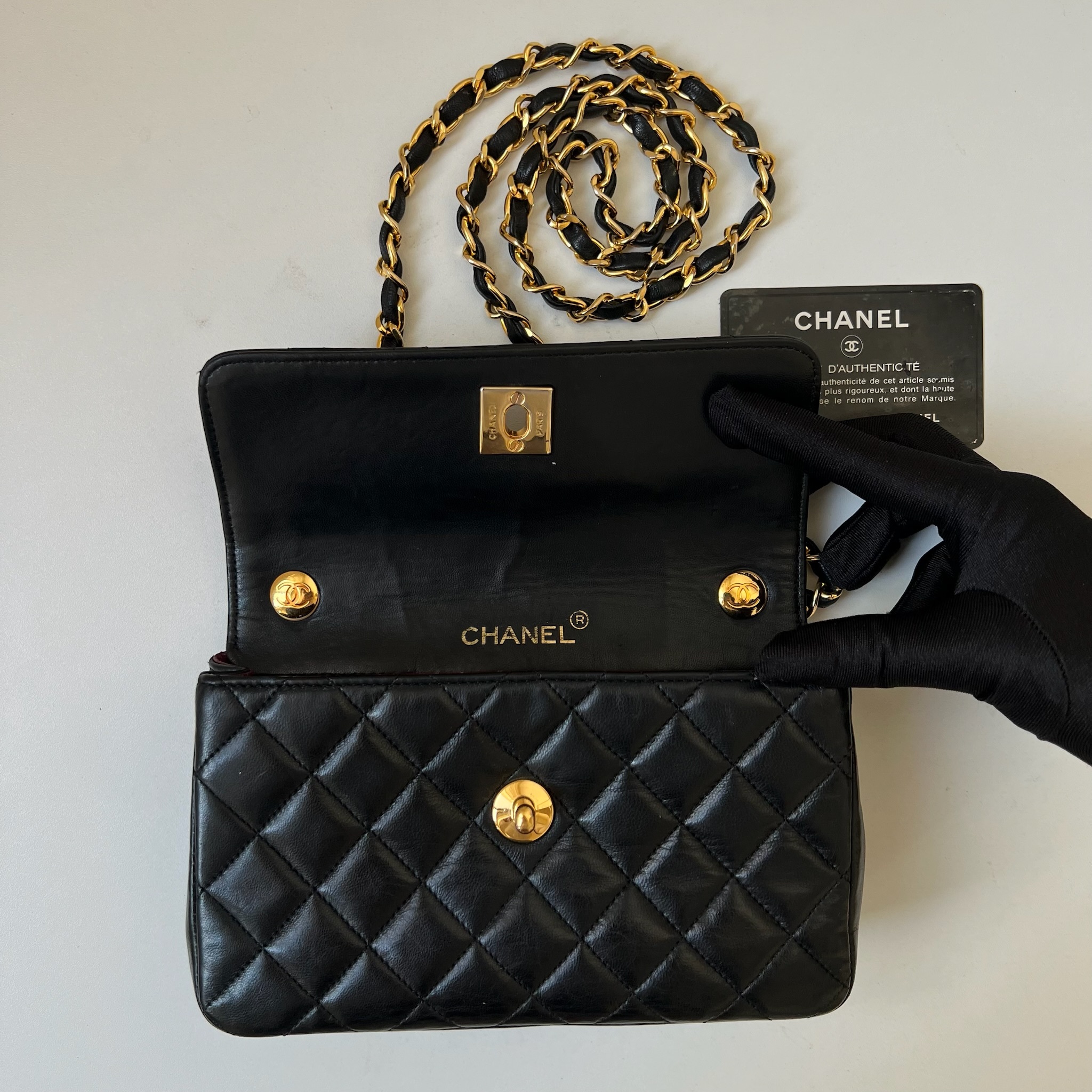 IMG_1381-1731328179282