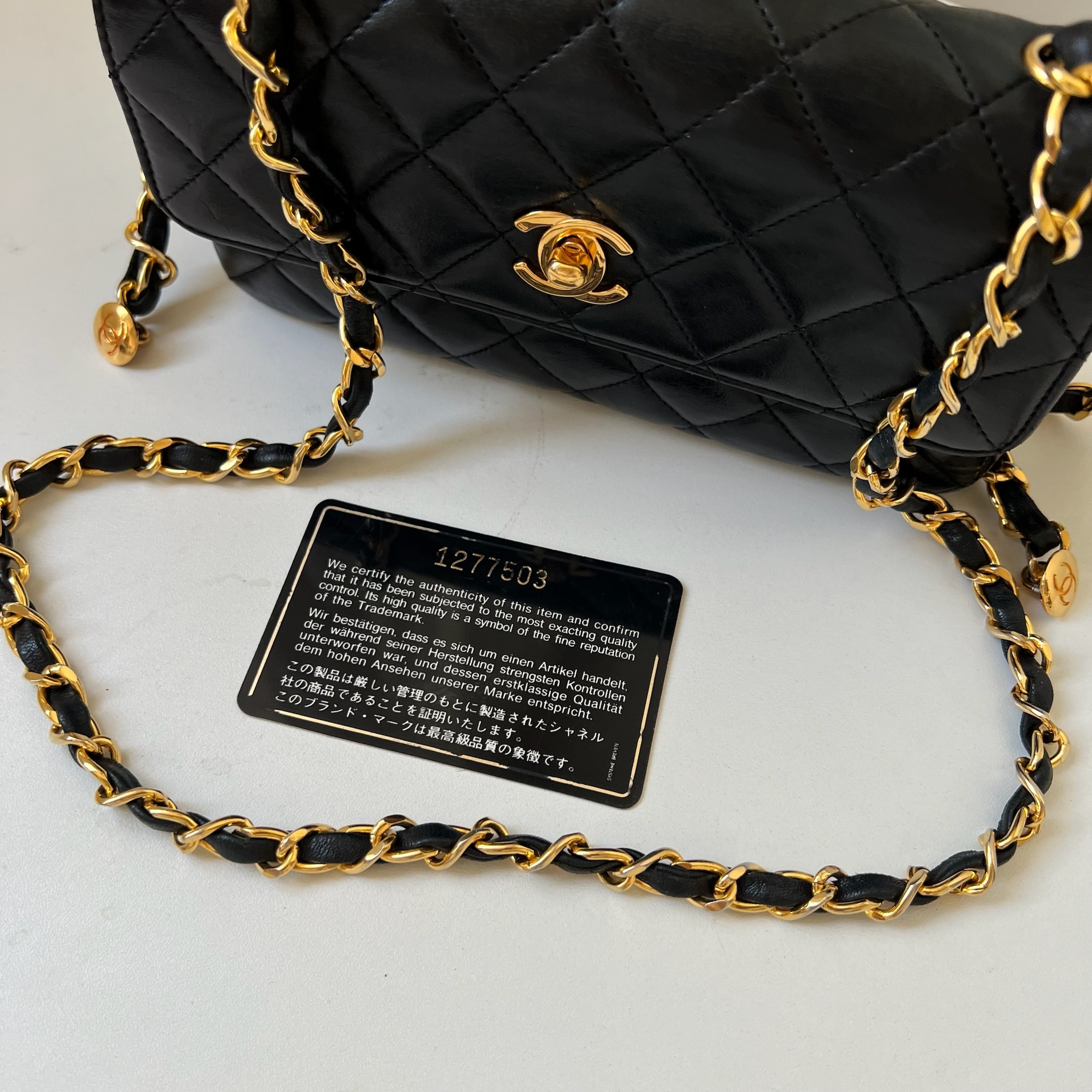 IMG_1388-1731328179295