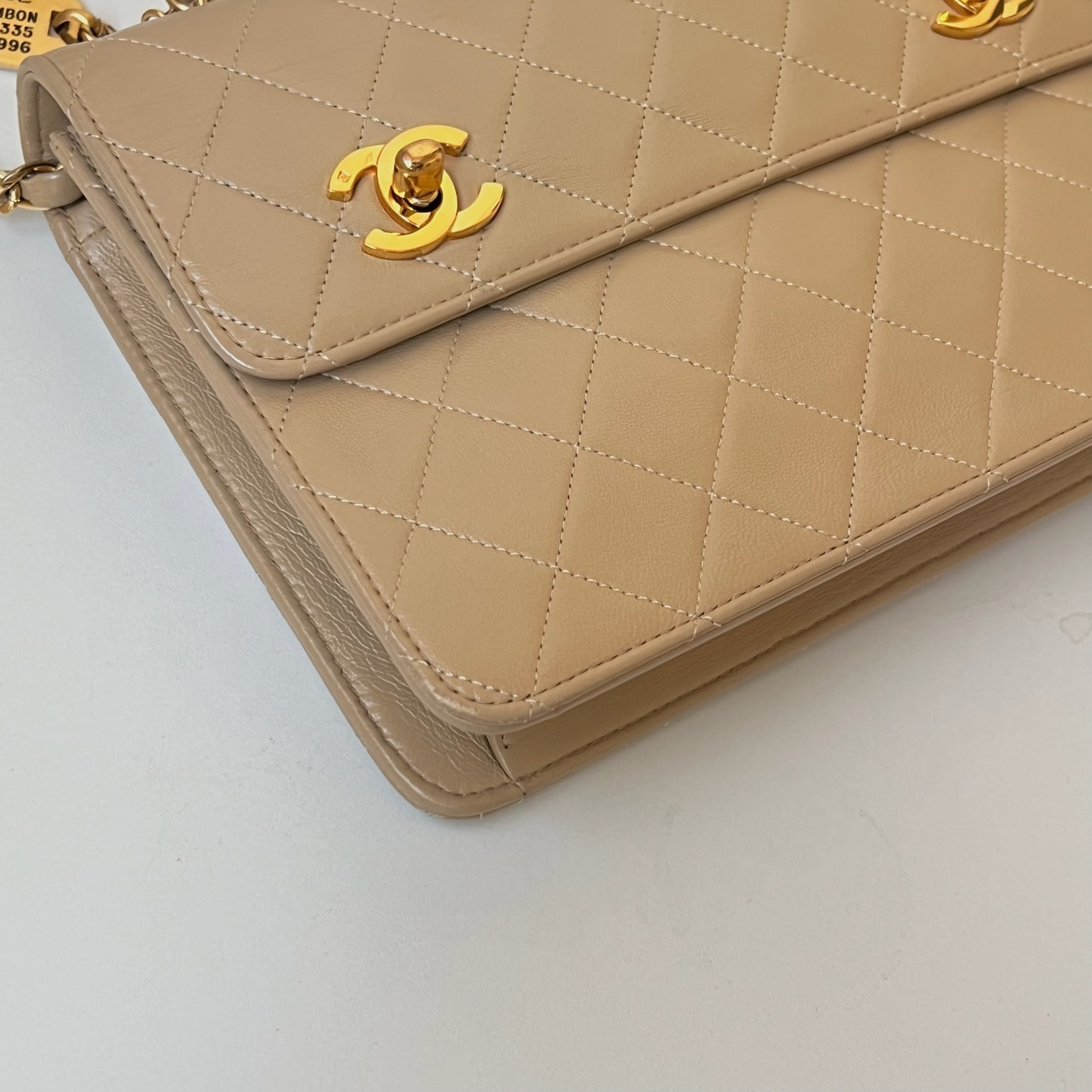 IMG_1207-1731328724288