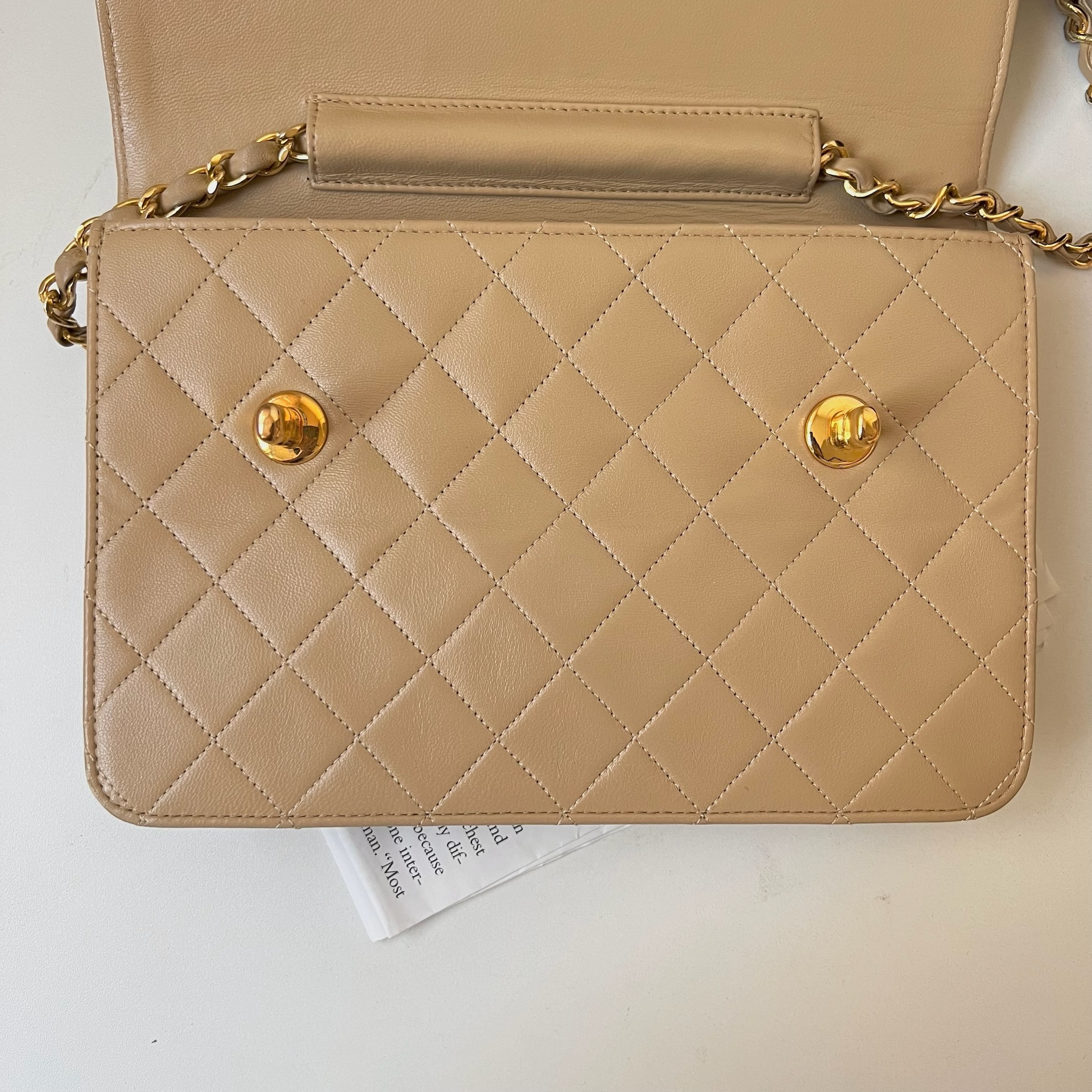 IMG_1221-1731328724326