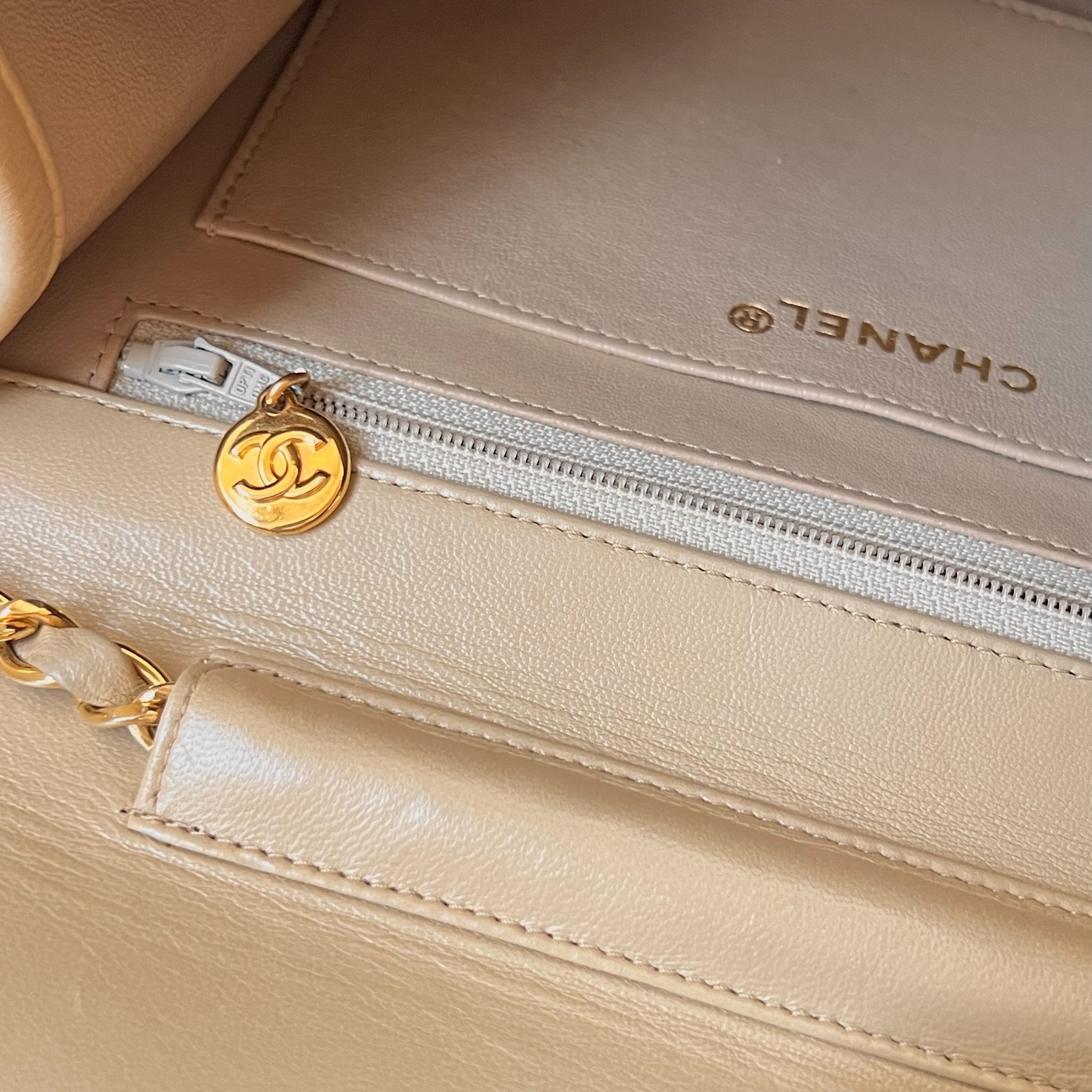 IMG_1223-1731328724332