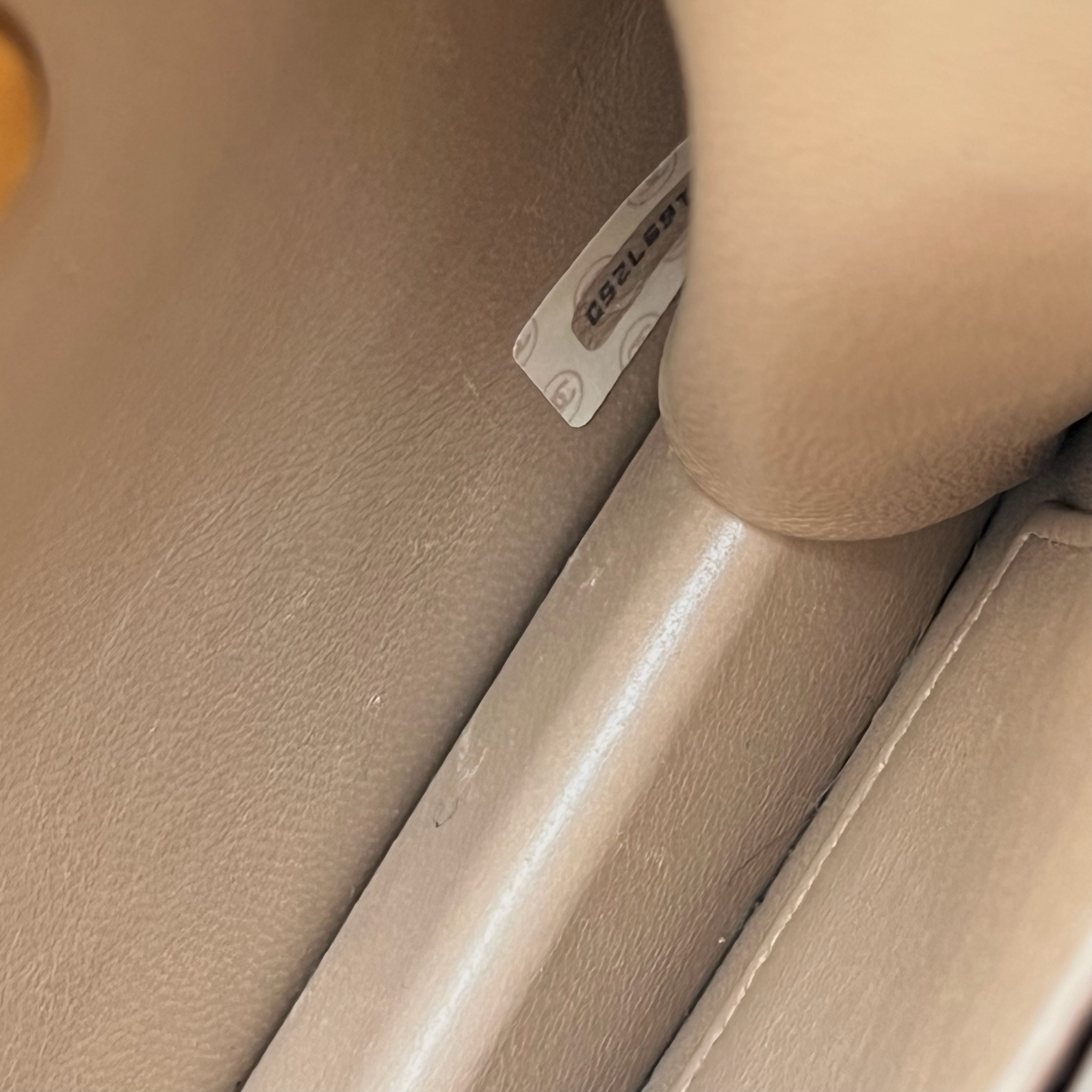 IMG_1229-1731328724336