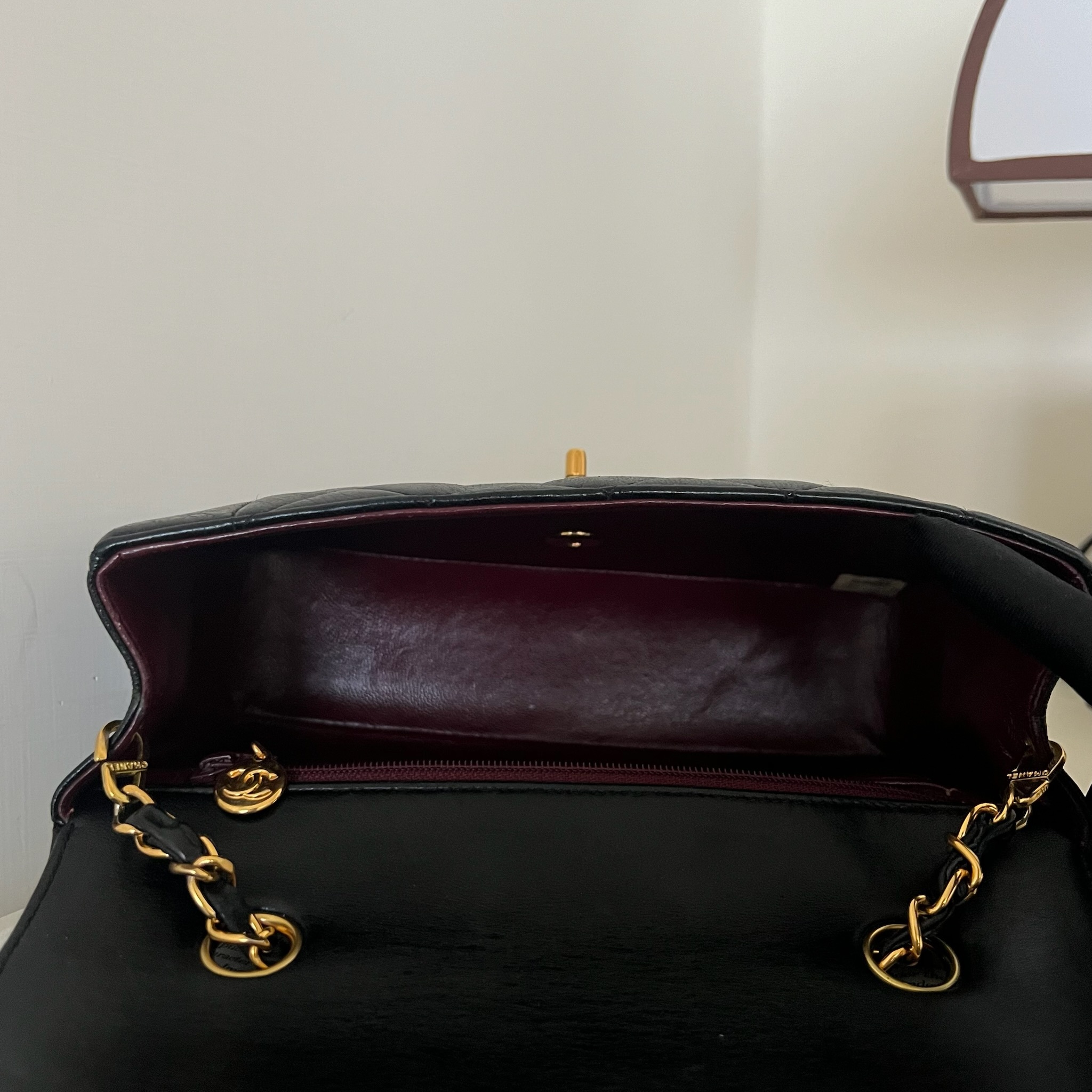 IMG_6437-1731329259596