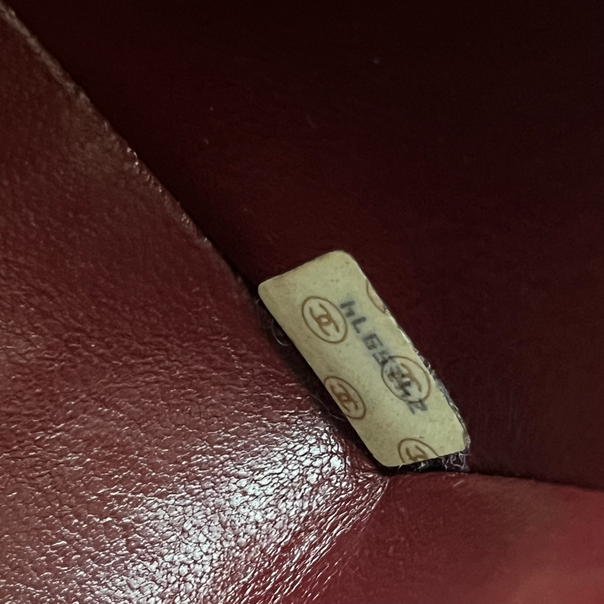 IMG_6441-1731329332024