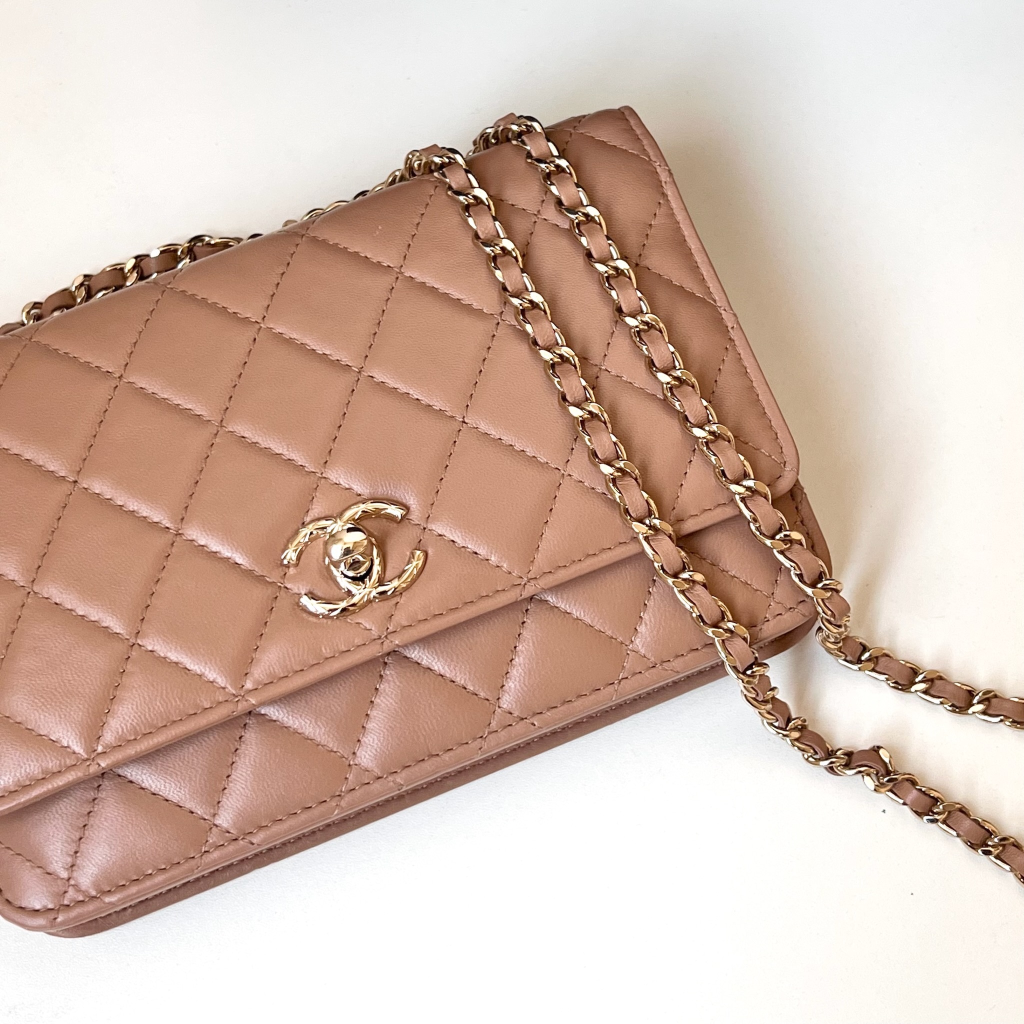 IMG_1928-1732462599425