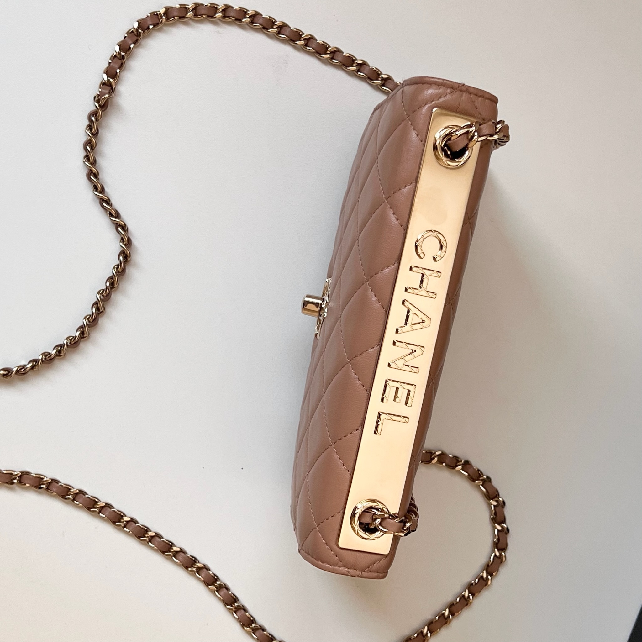 IMG_1929-1732462599429