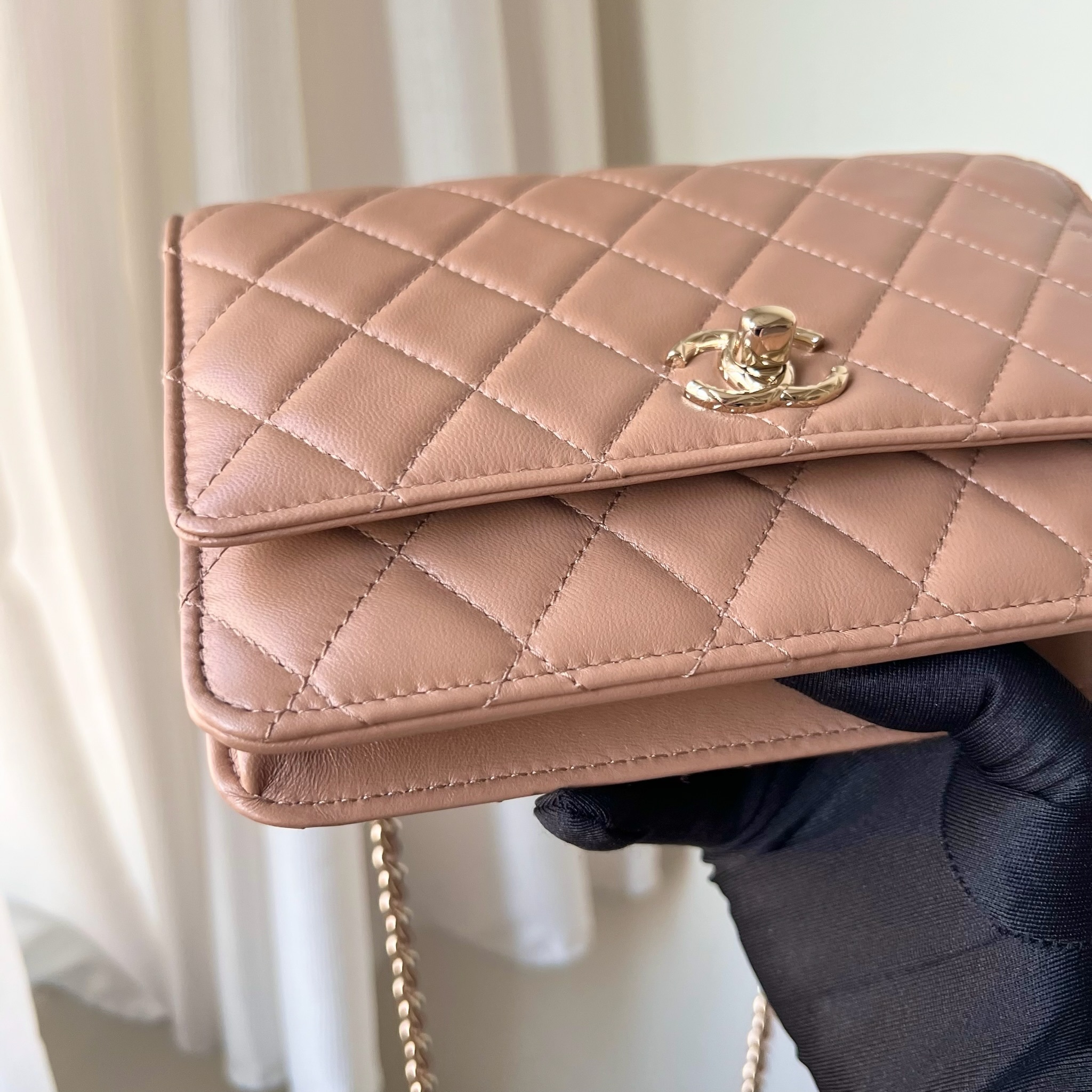 IMG_1946-1732462599469