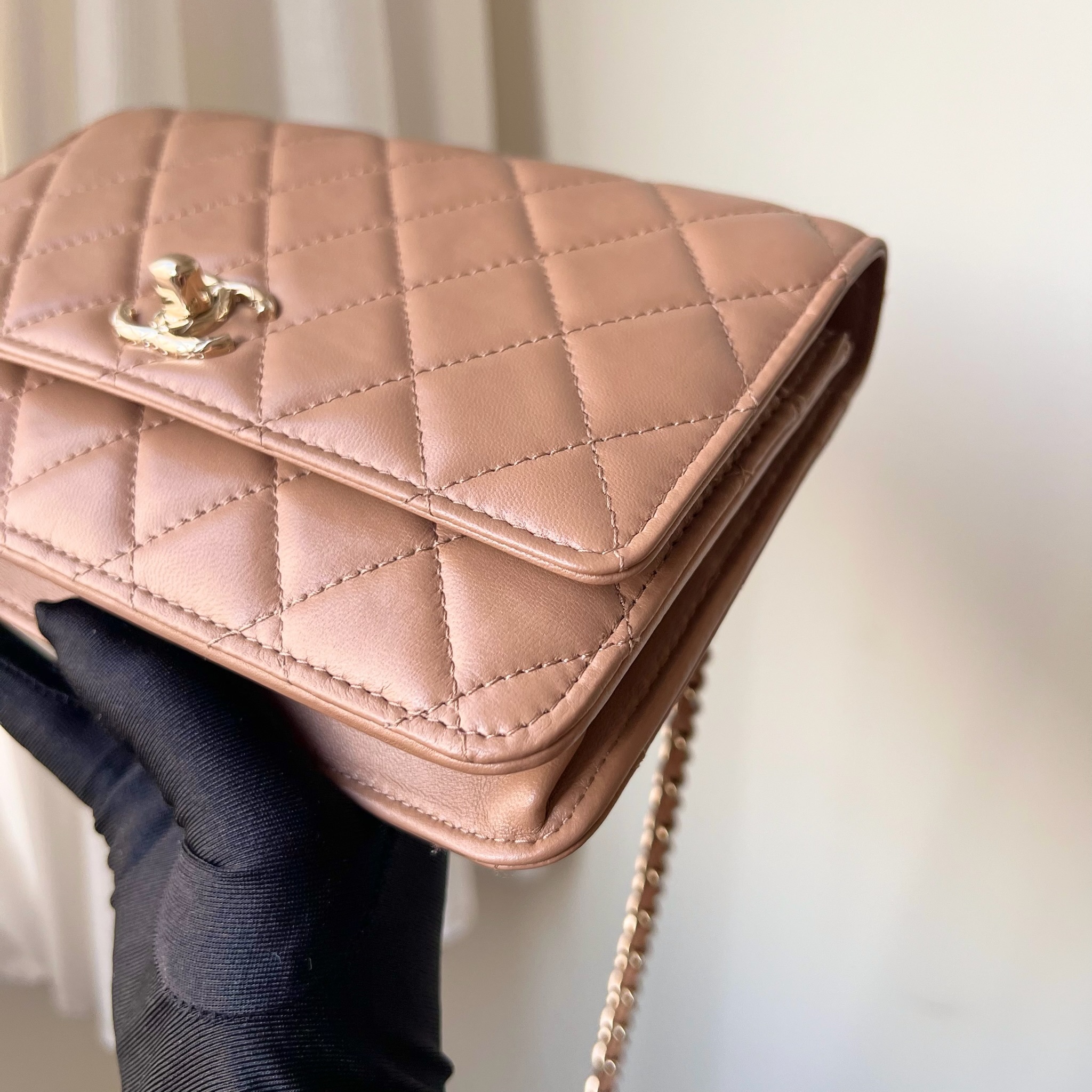 IMG_1945-1732462599473