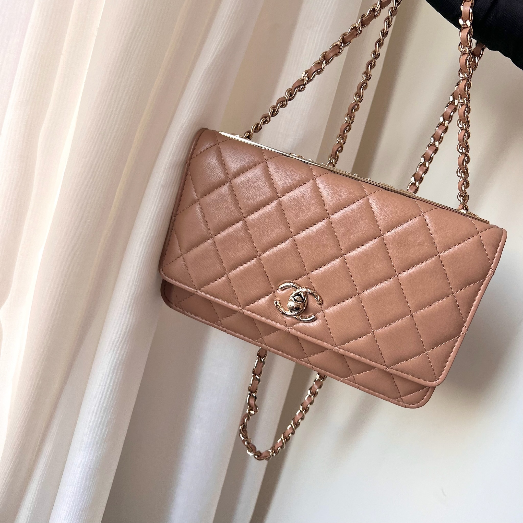 IMG_1944-1732462599474