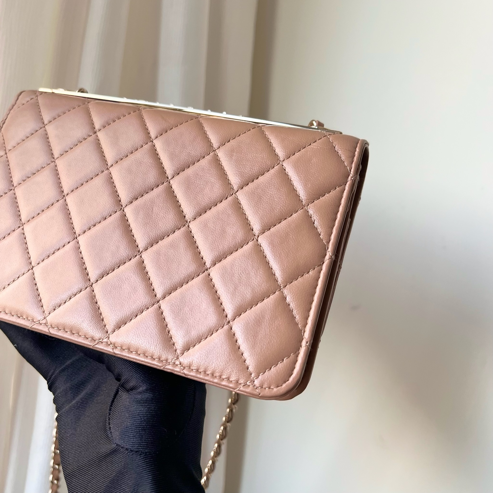 IMG_1947-1732462599477