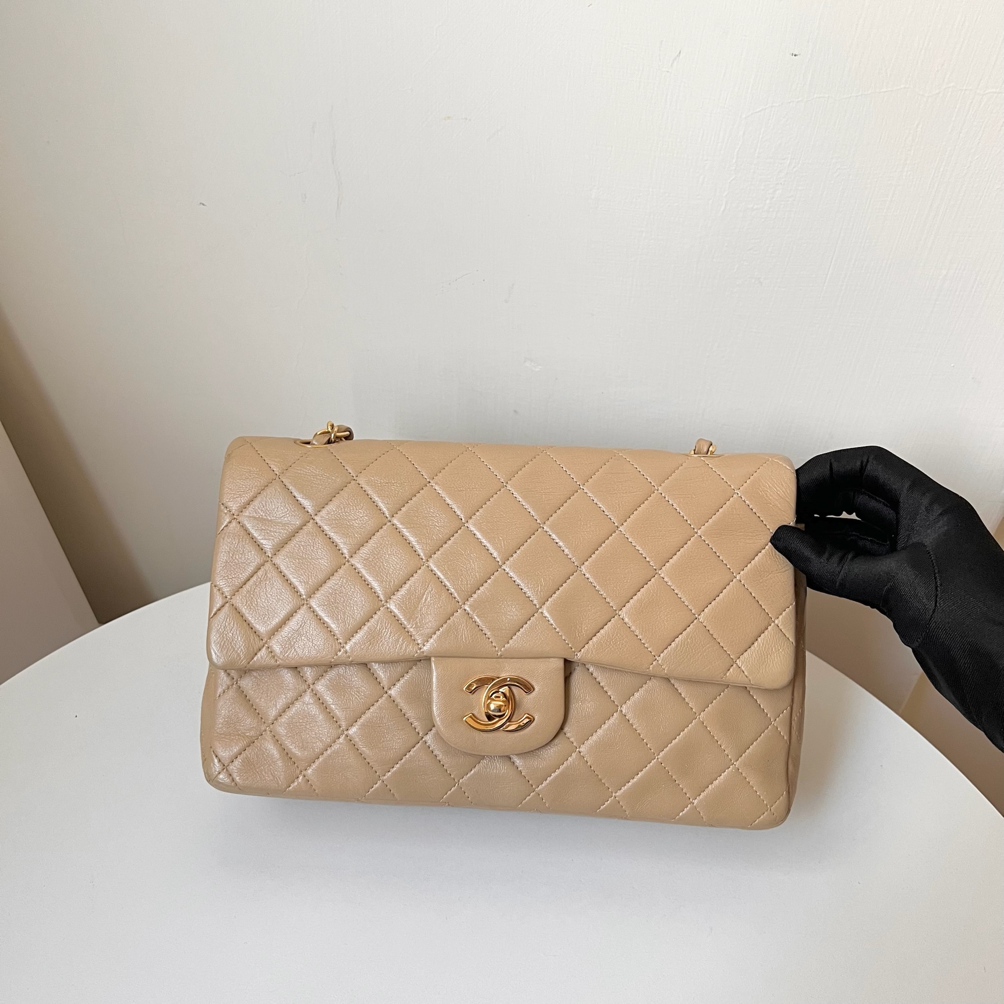 IMG_1954-1732462752730