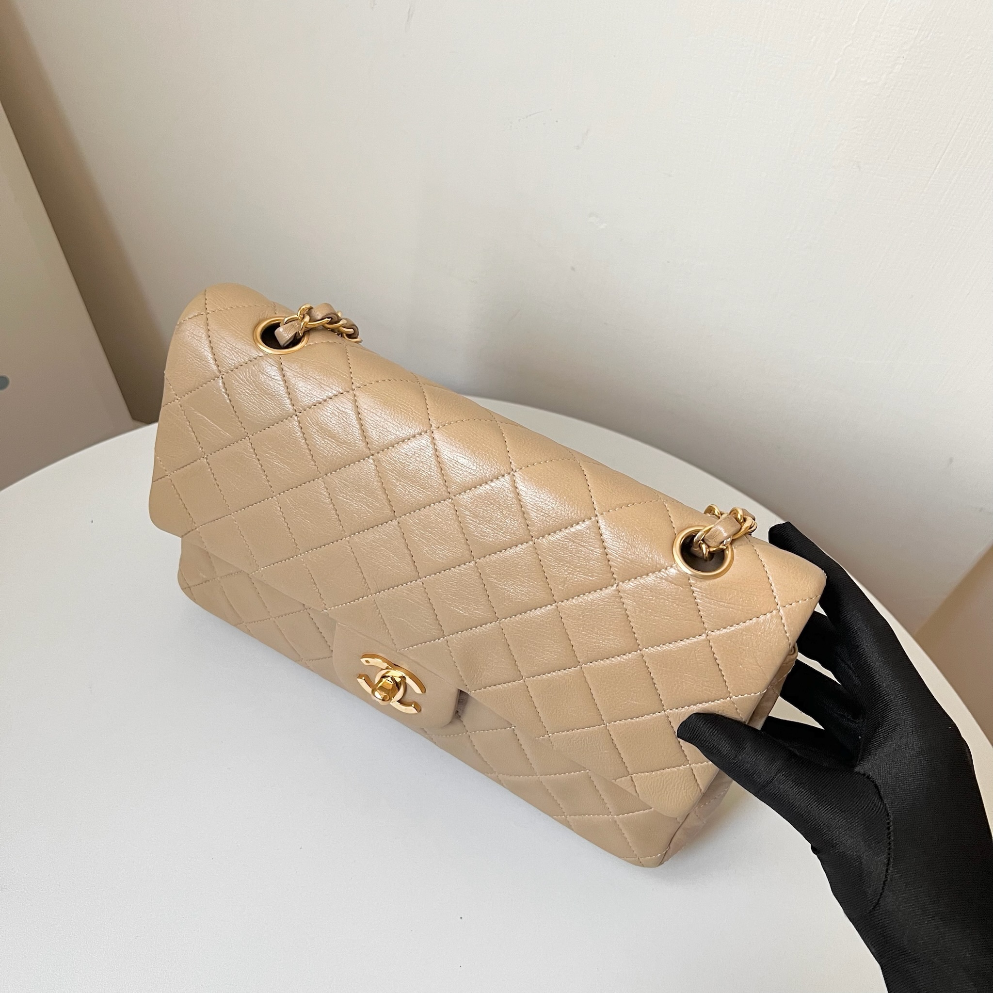 IMG_1955-1732462752733