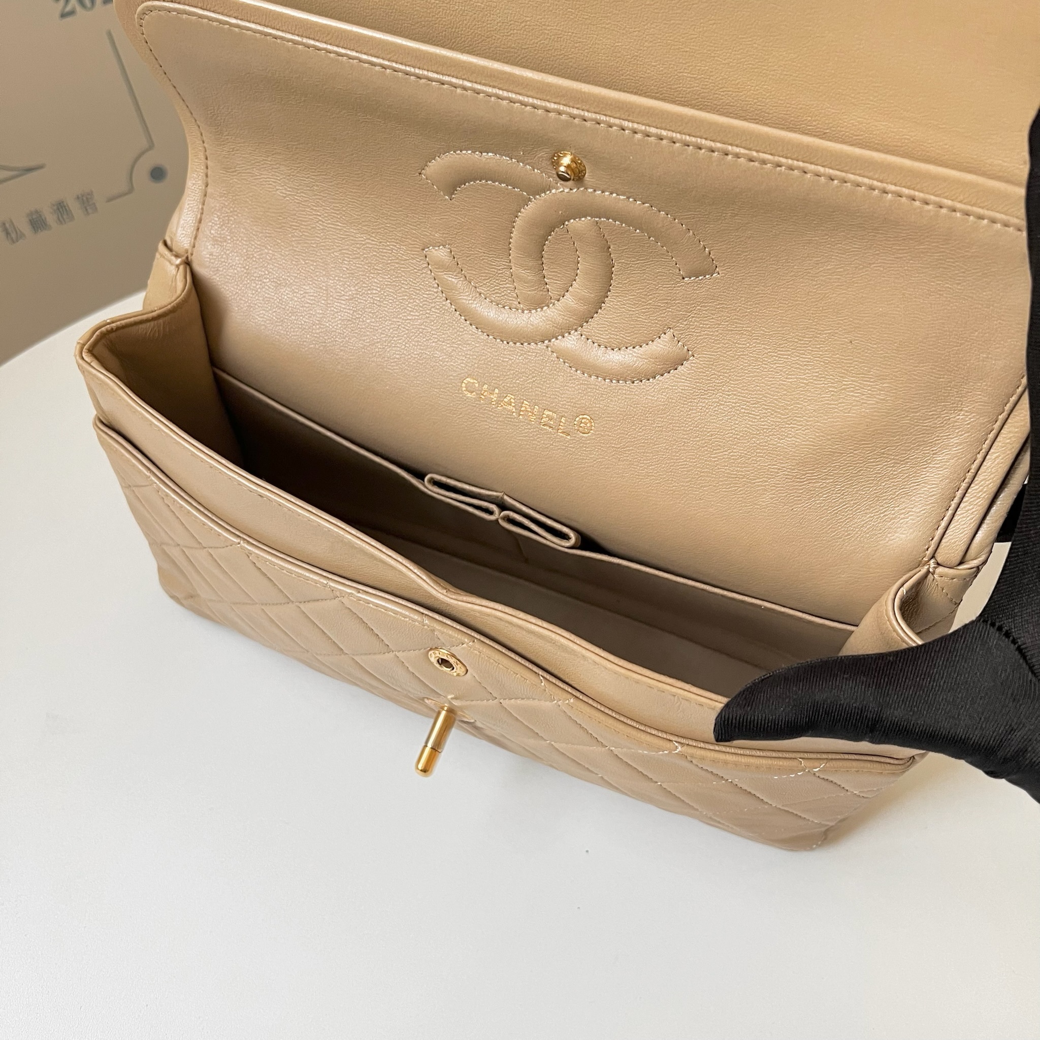 IMG_1969-1732462752773