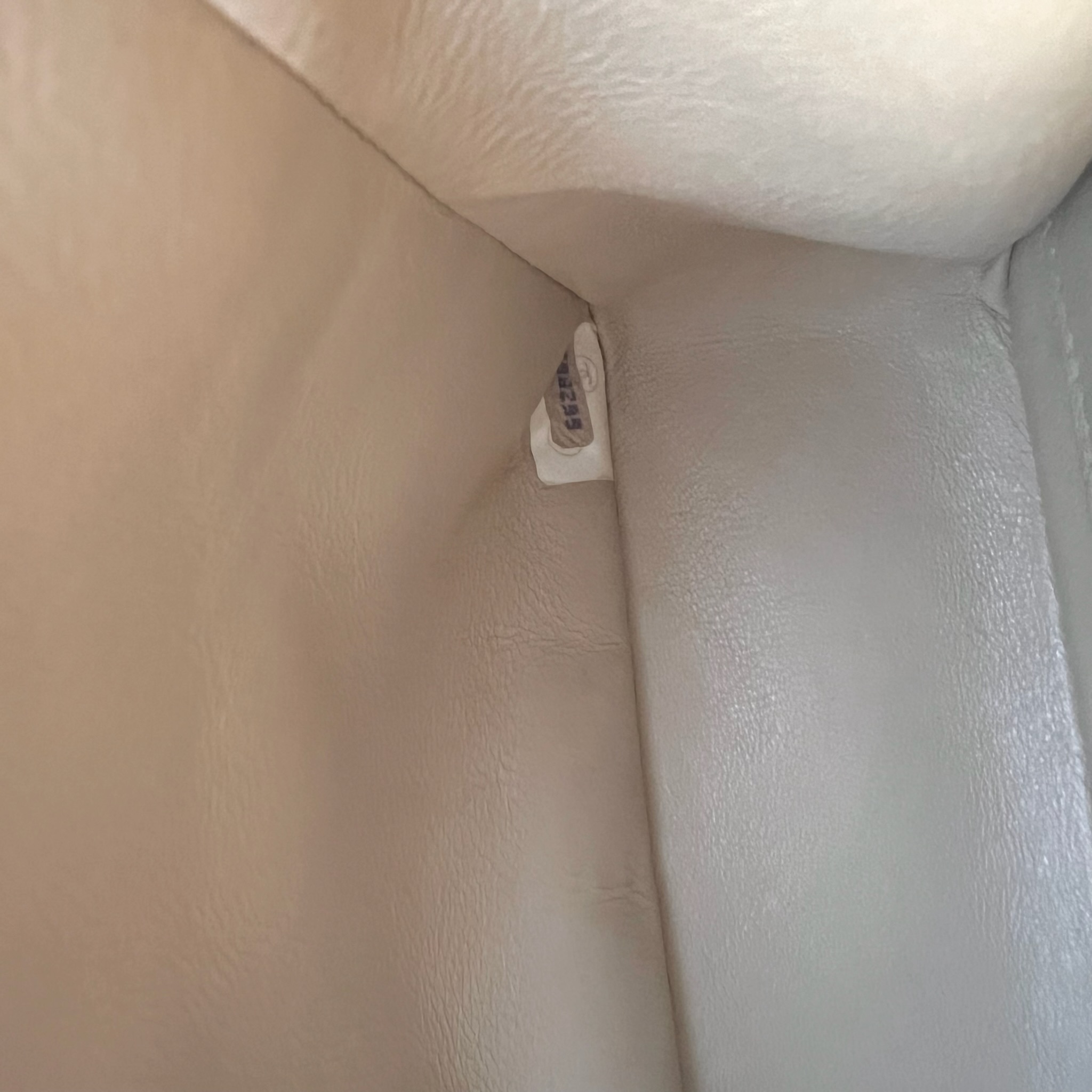 IMG_1976-1732462752792