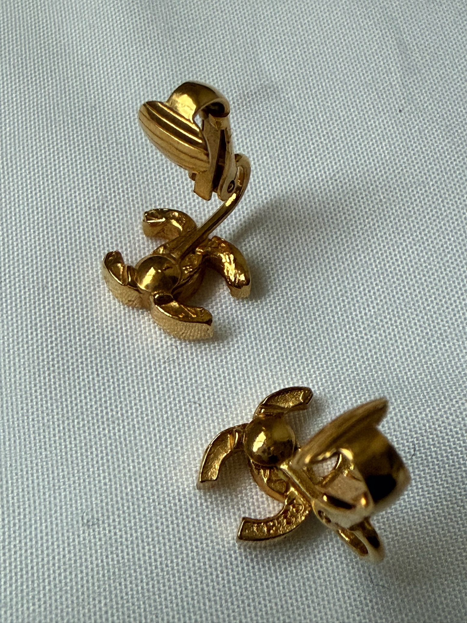 IMG_4570-1739973379622