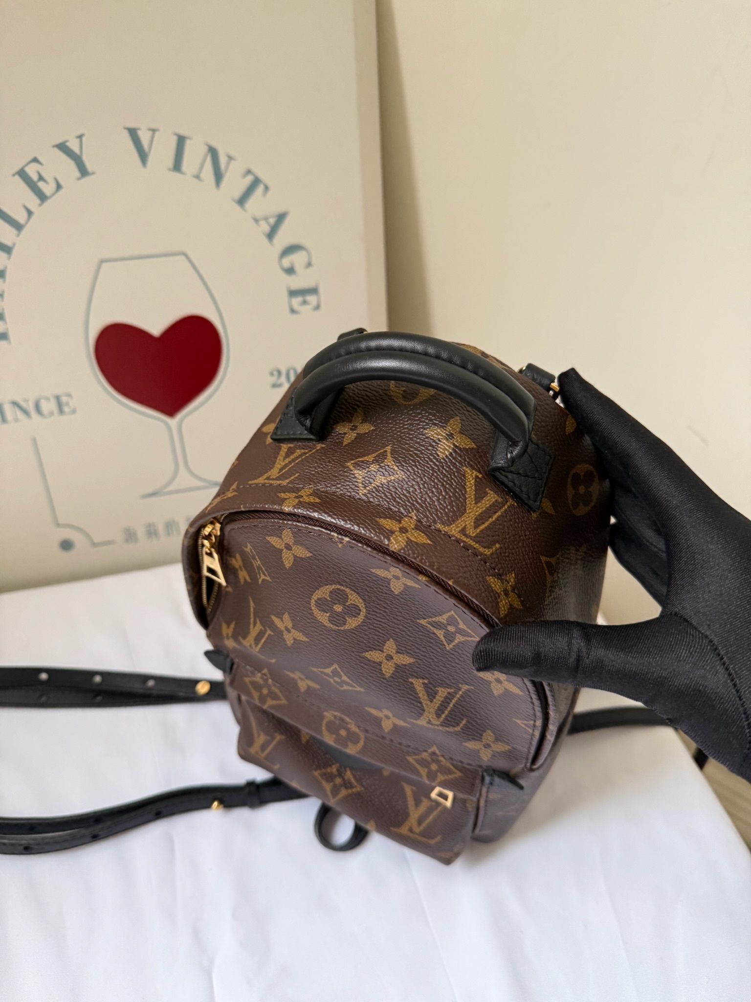 IMG_4426-1739973507630