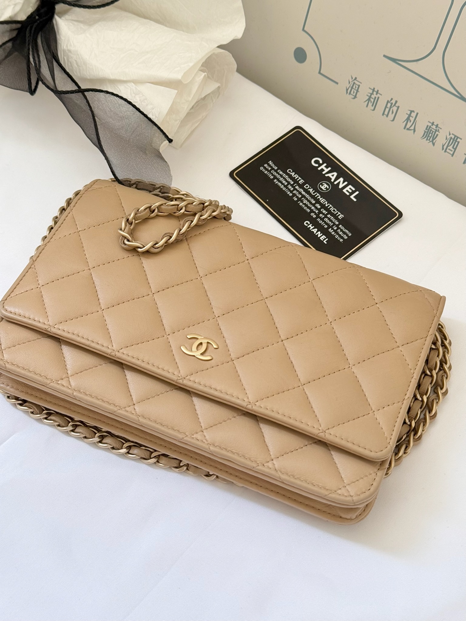 IMG_4217-1739973590038