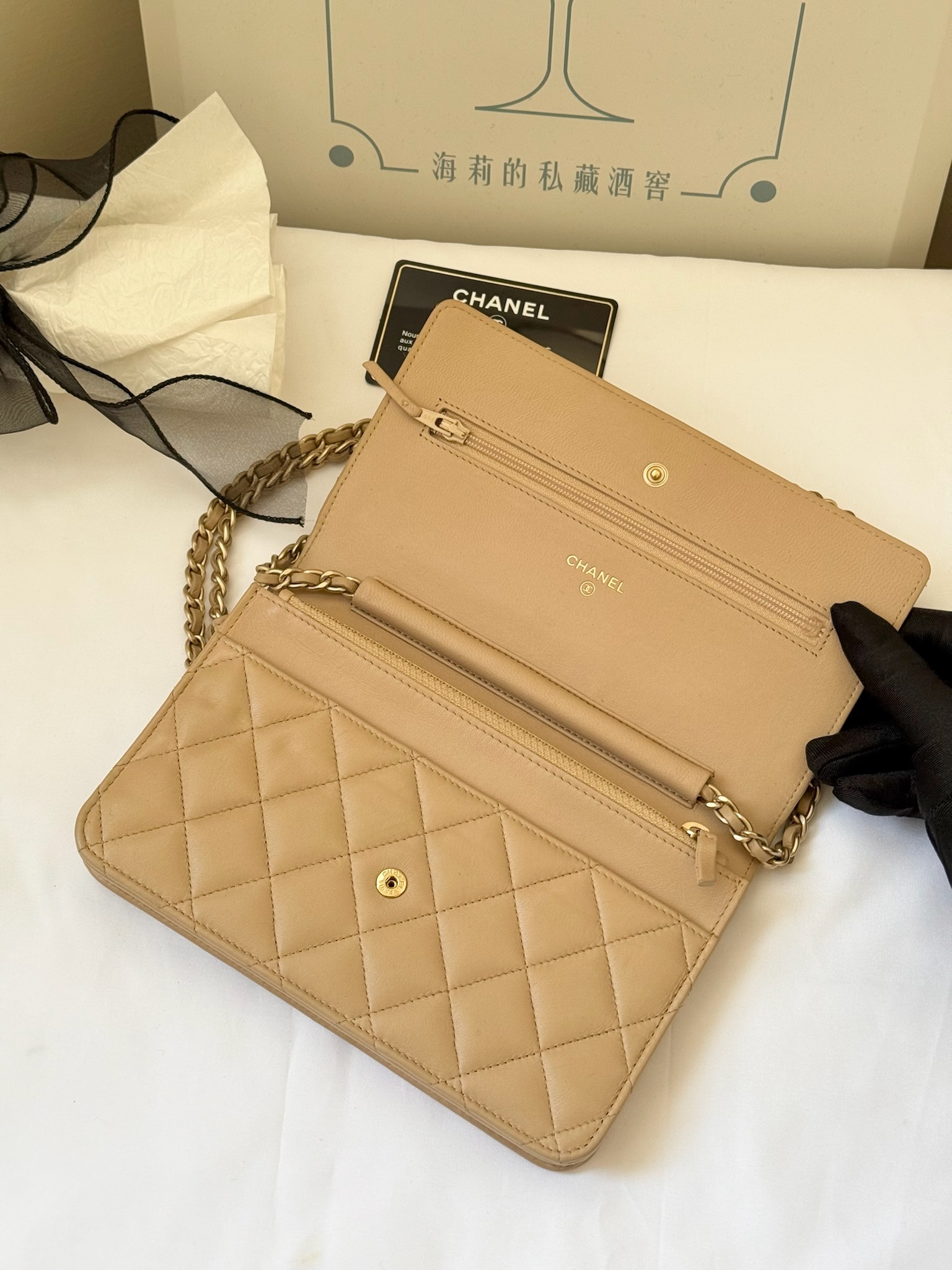 IMG_4219-1739973590044