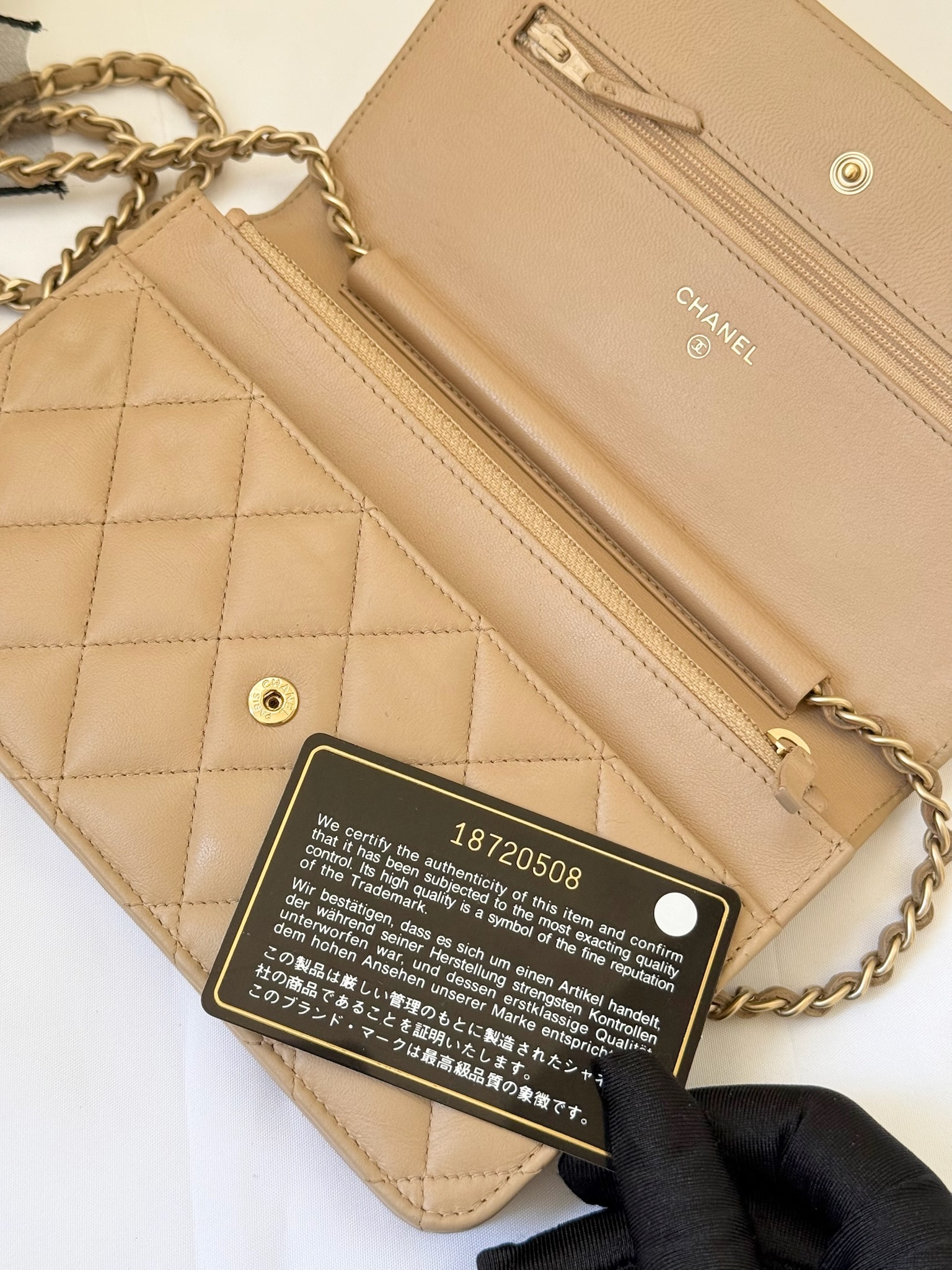 IMG_4223-1739973590058