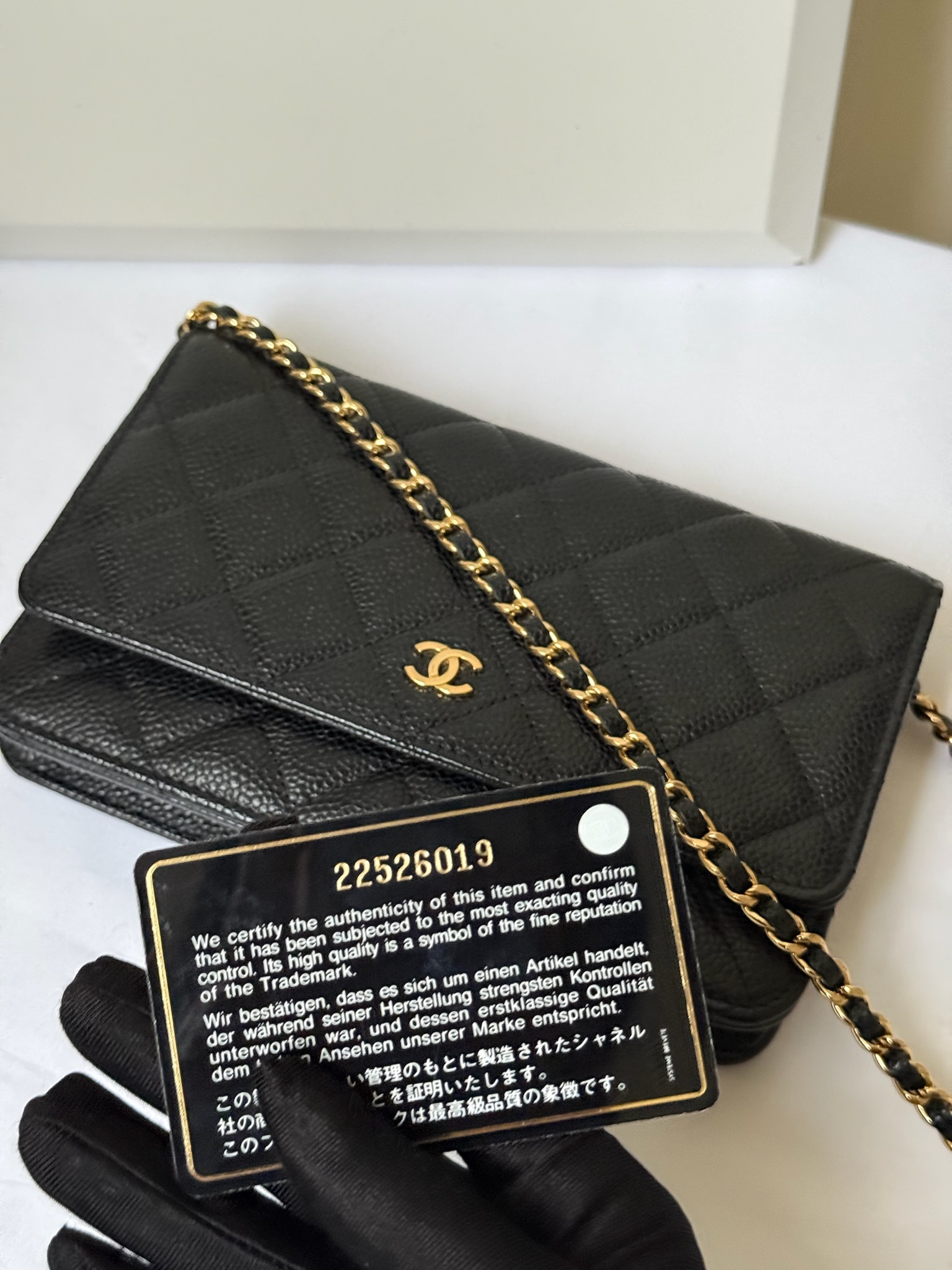 image_FA1CDABC-6656-45F1-A3C3-746570776416_1742653451