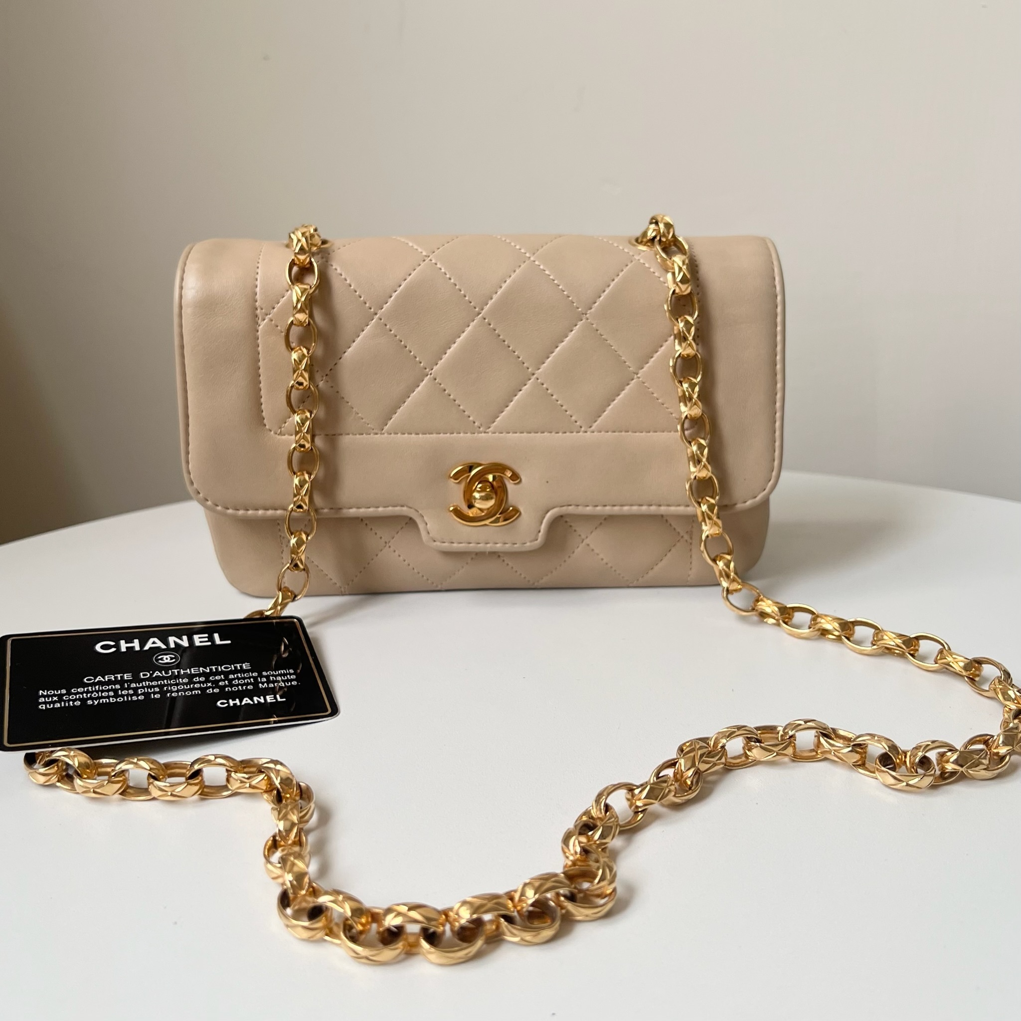 IMG_2914-1727354048692