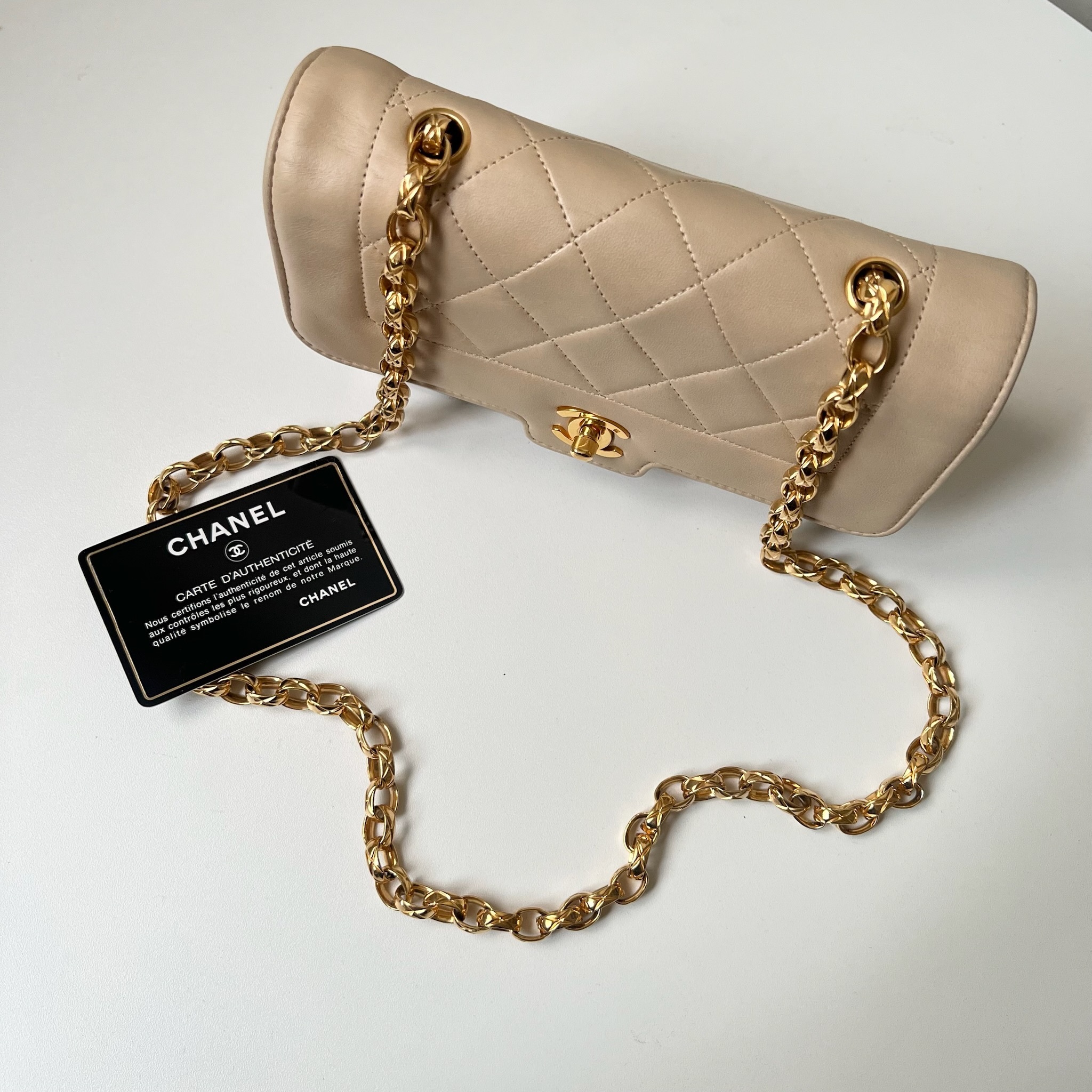 IMG_2915-1727354048697