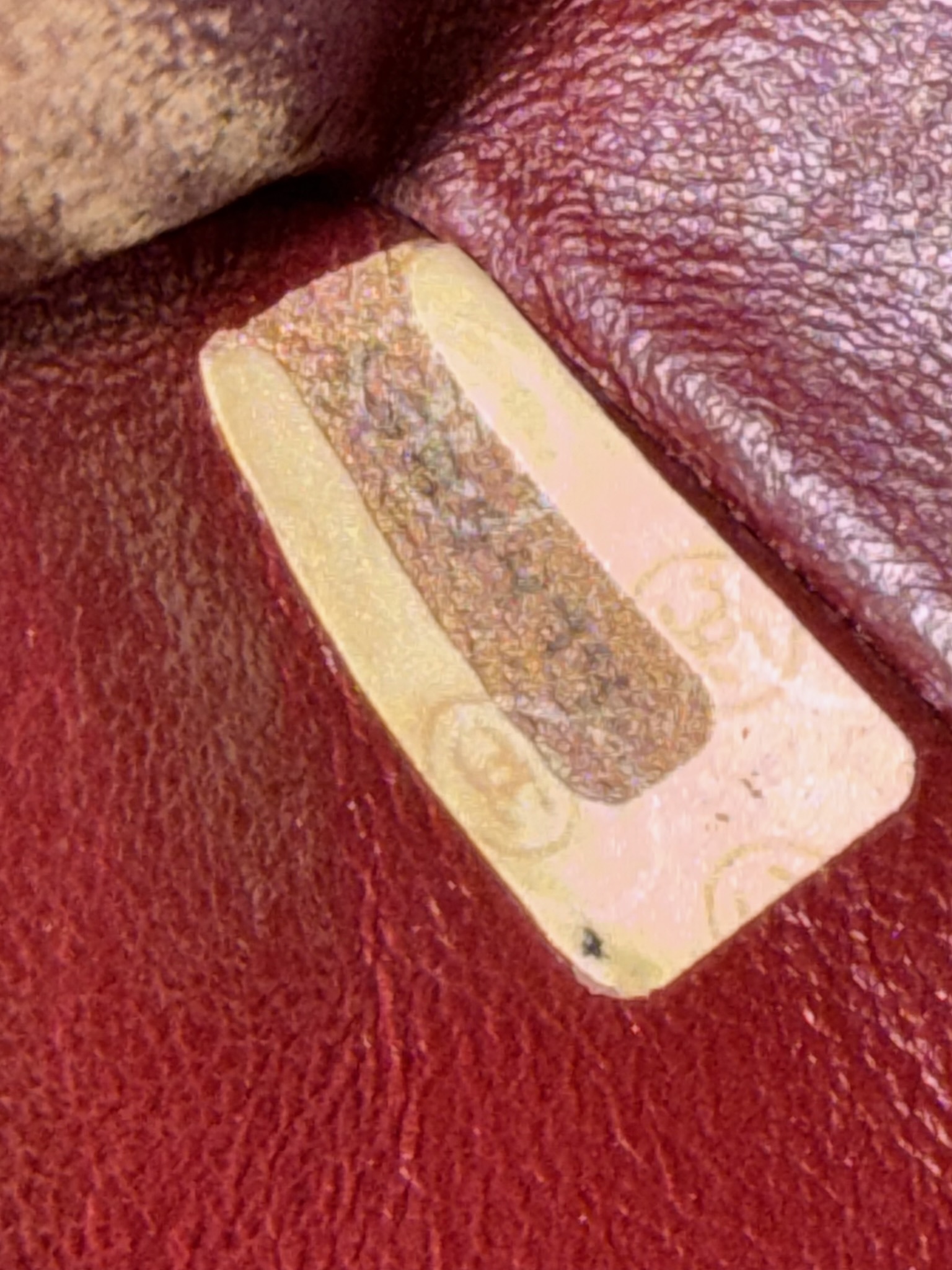 image_9D4A0145-656A-4F95-955E-15E1B2EA5840_1751375288