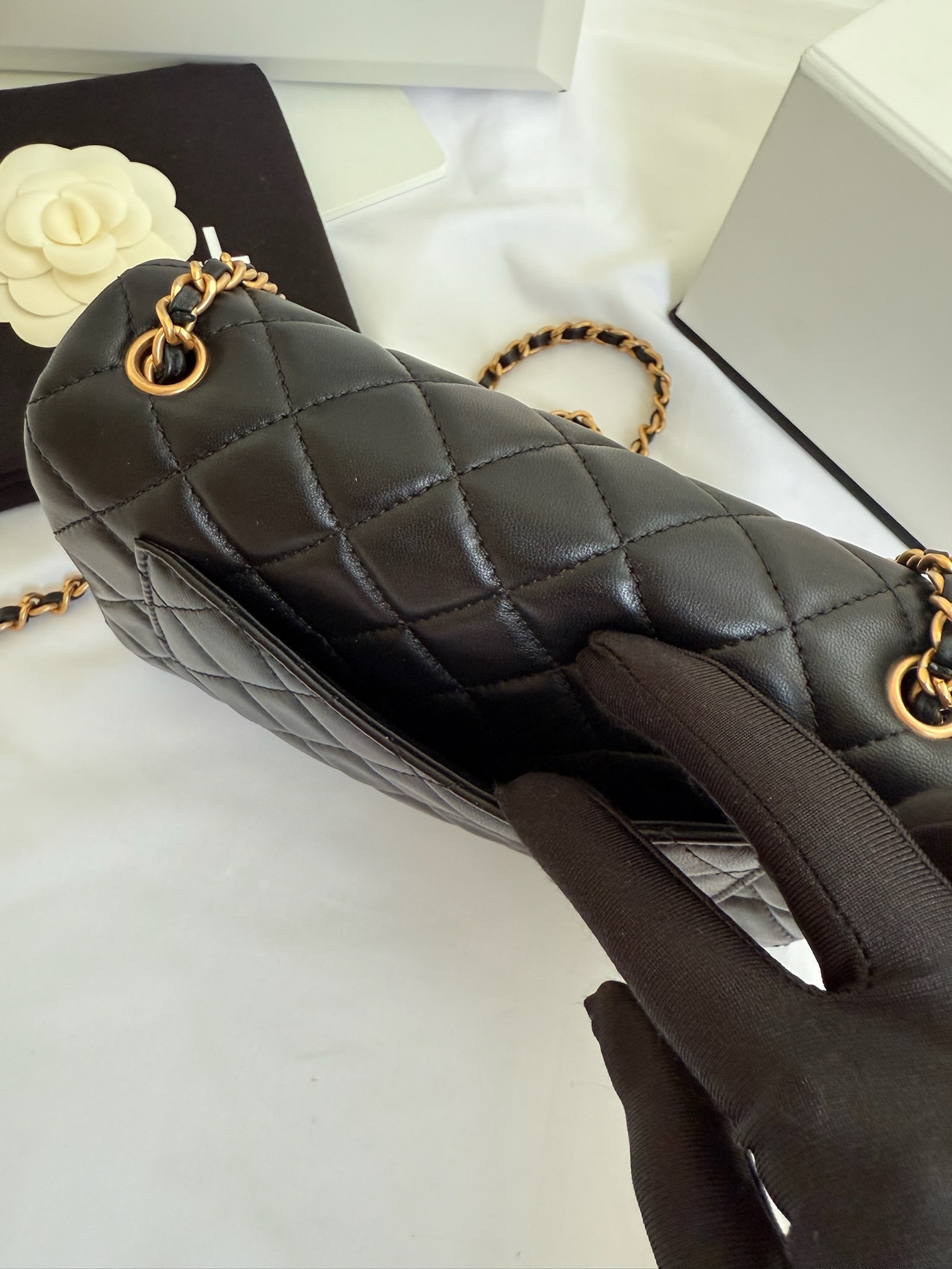 image_22D37598-9F79-462A-8235-DBF9DCE0BC1A_1753358082