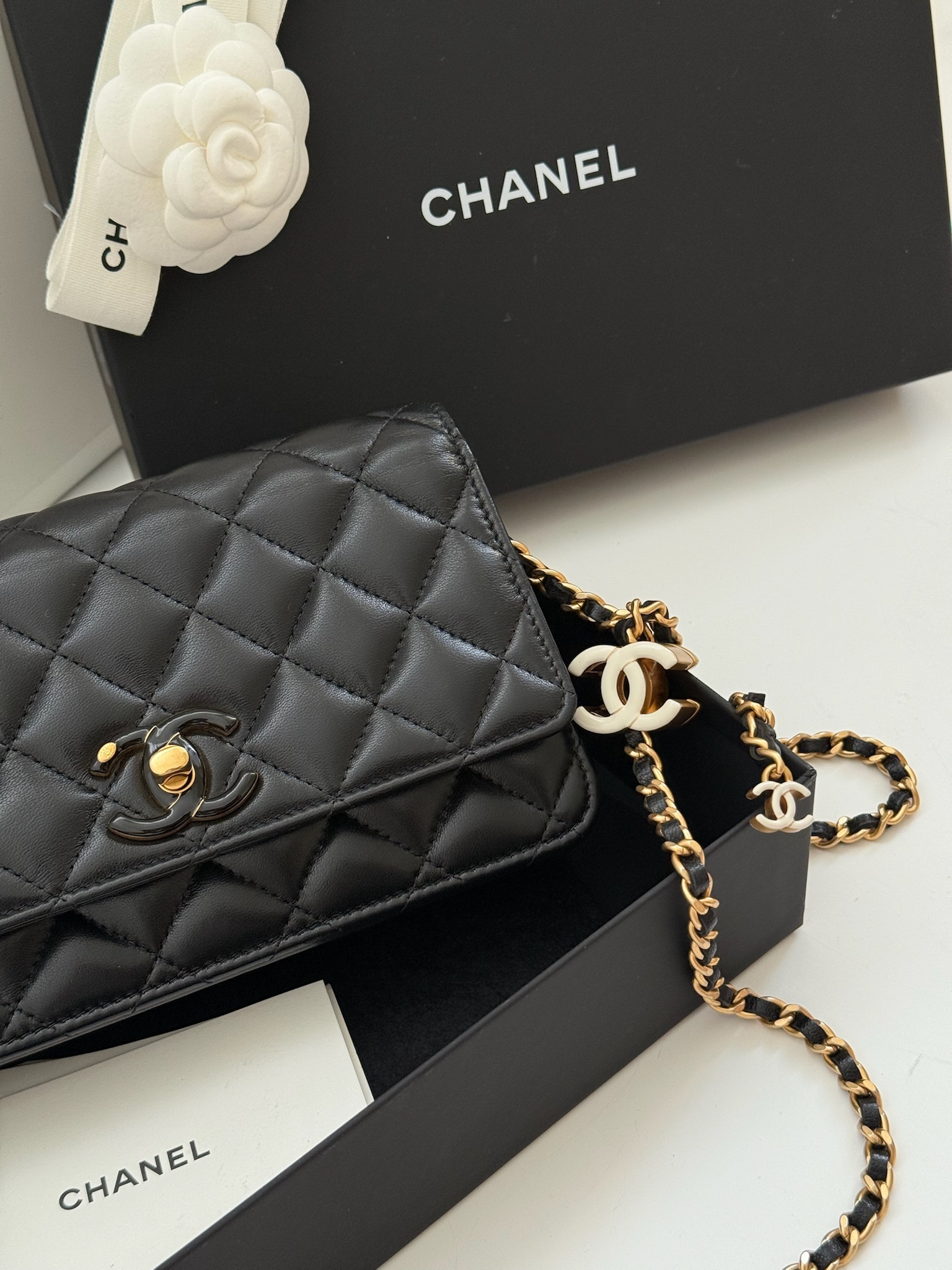 image_8C4D73CB-031E-4444-B324-A4B85B15698D_1757072349