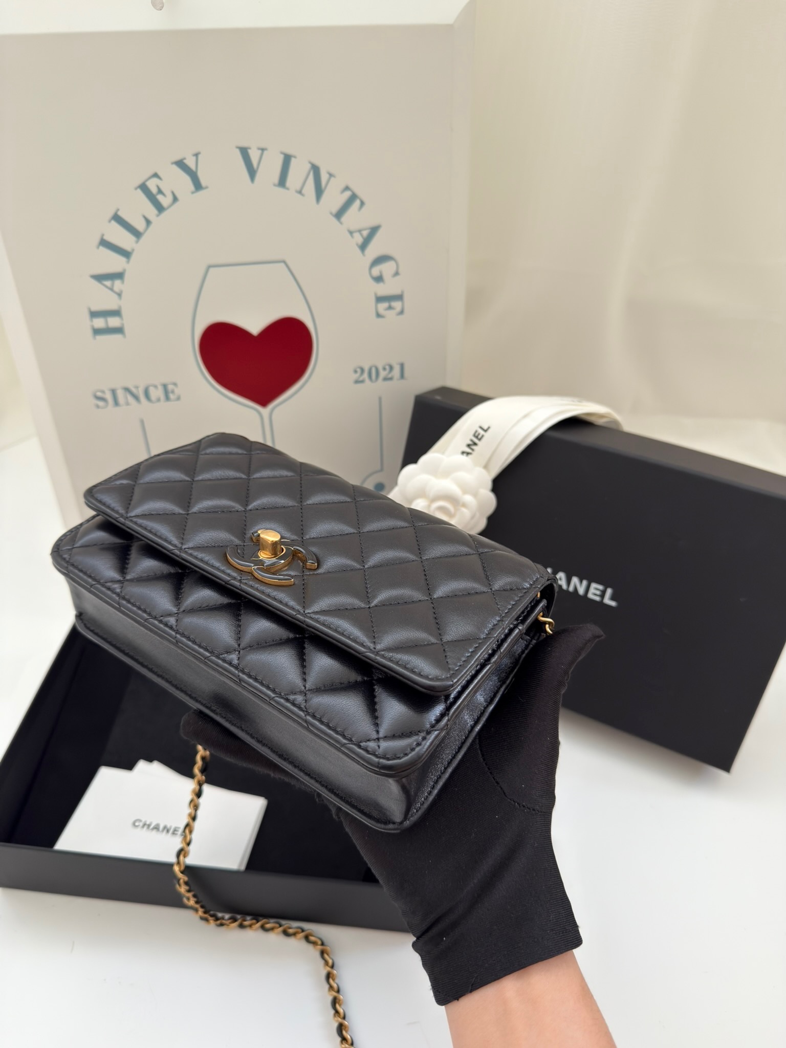 image_45830D14-2D2C-44E7-9CDA-A66956A1411B_1757072349