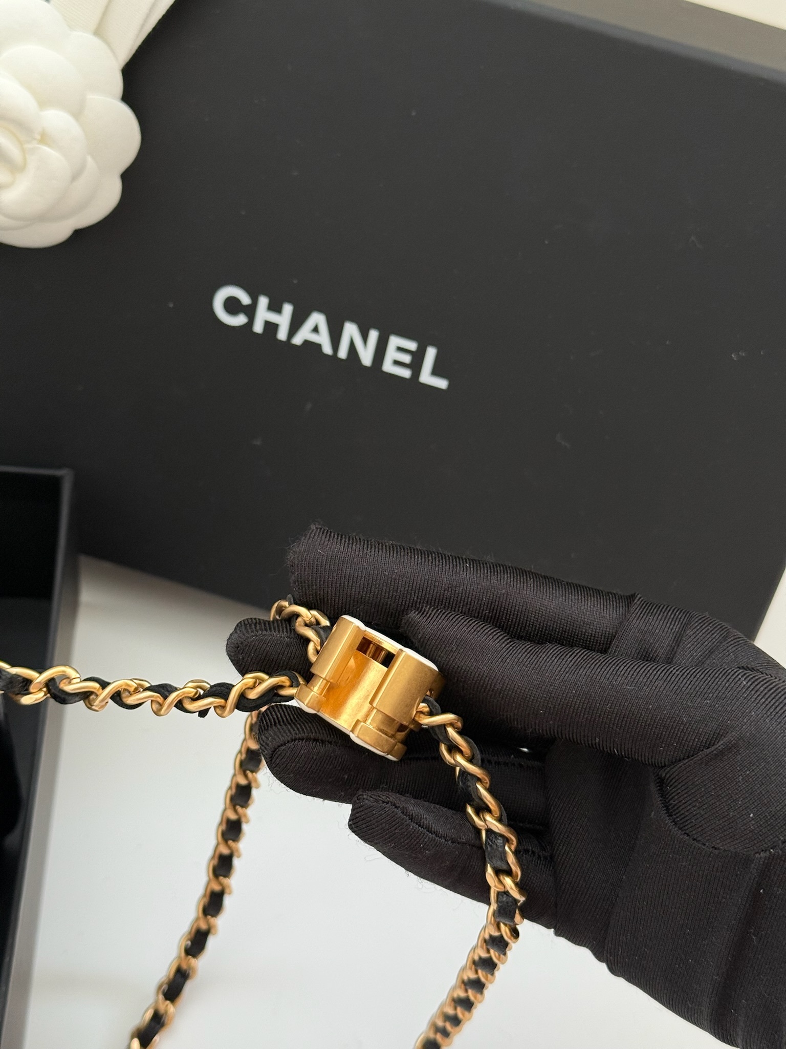 image_8D095E60-7EDE-4CFA-AC82-3C086E4DBEB8_1757072349