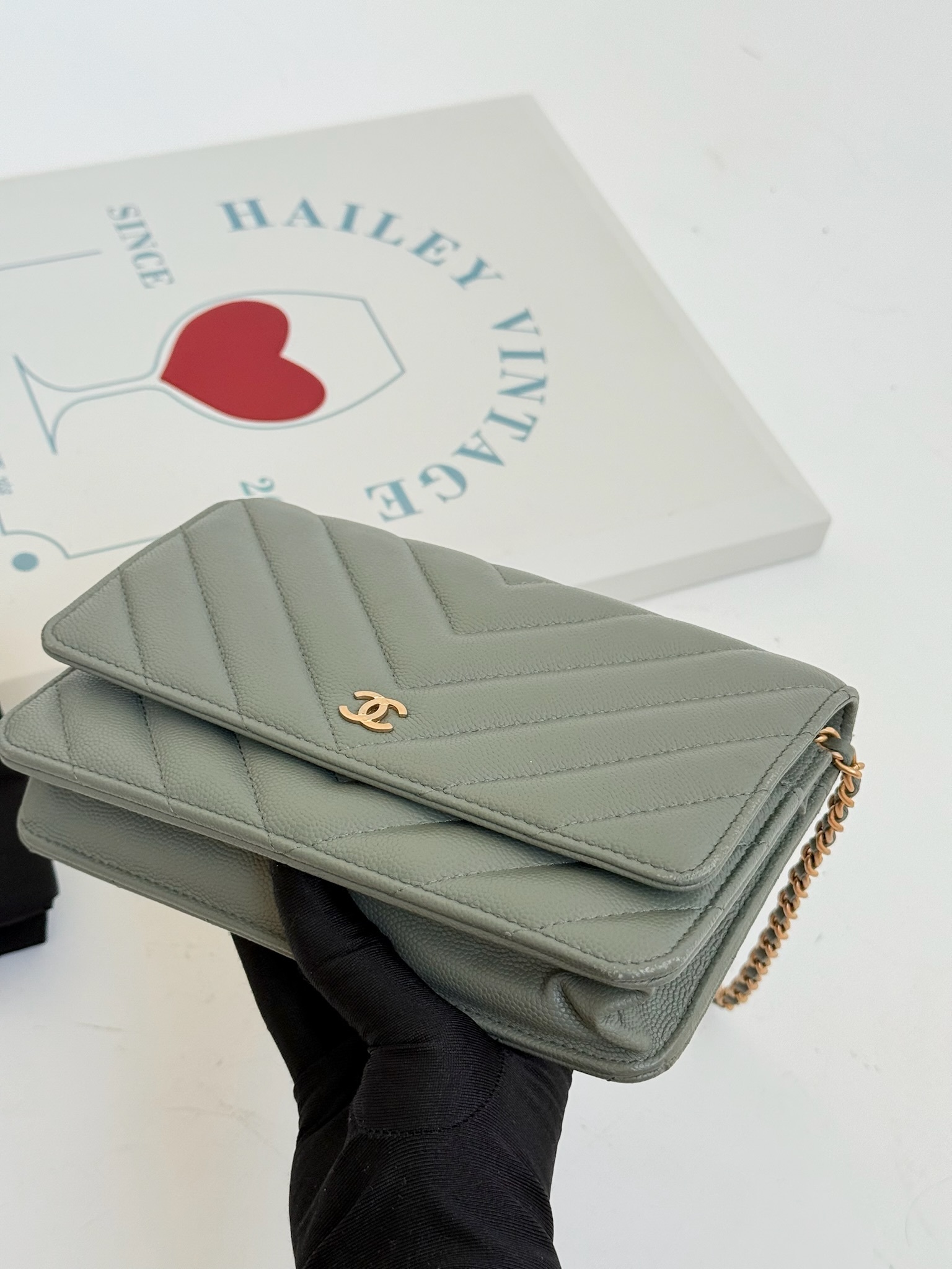 image_49EE0535-D357-45EF-8C85-342DD16C6702_1760603522