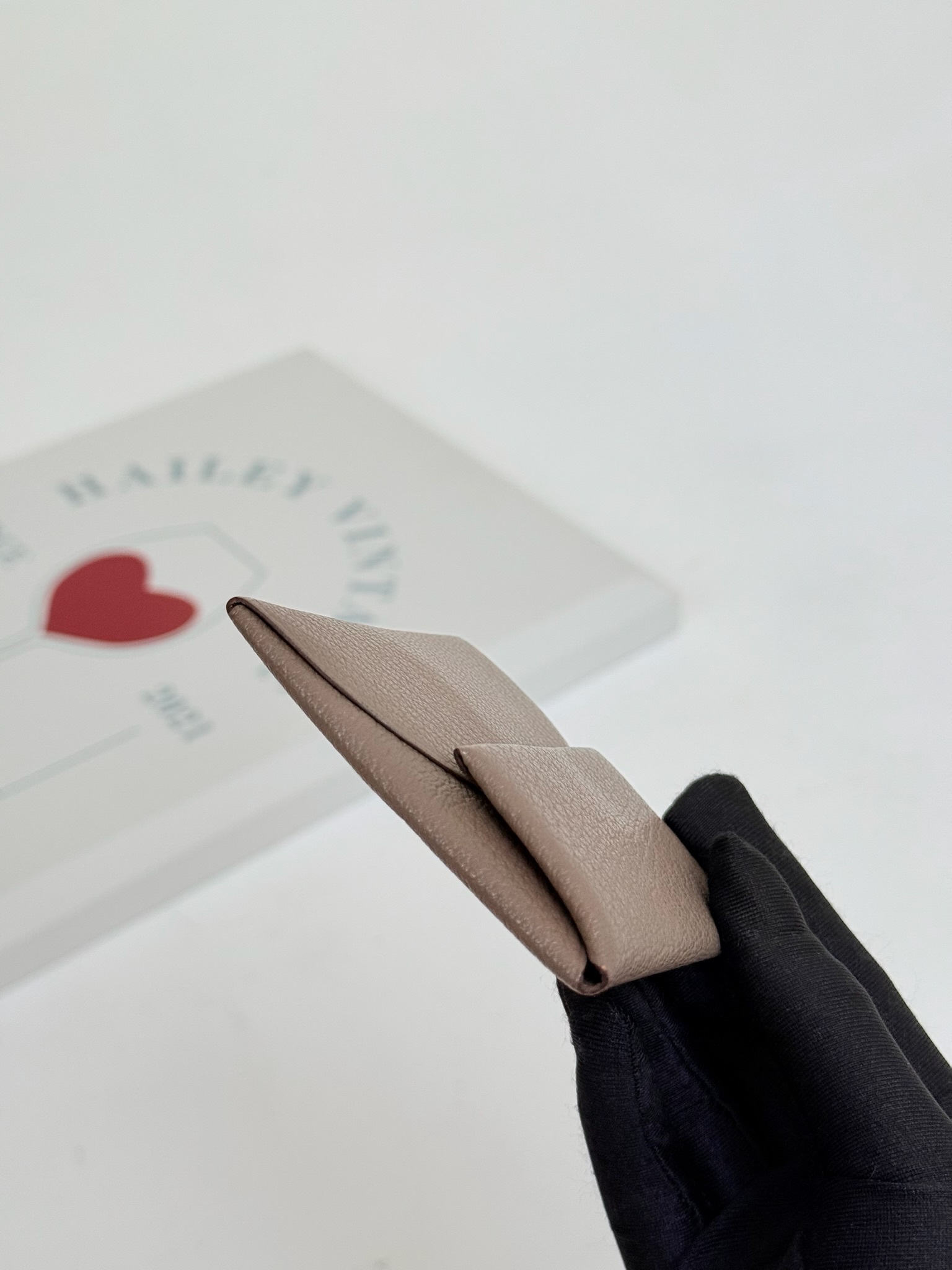 image_A2DABB4B-74CE-468E-B85D-A4A8B063E7BF_1763569558