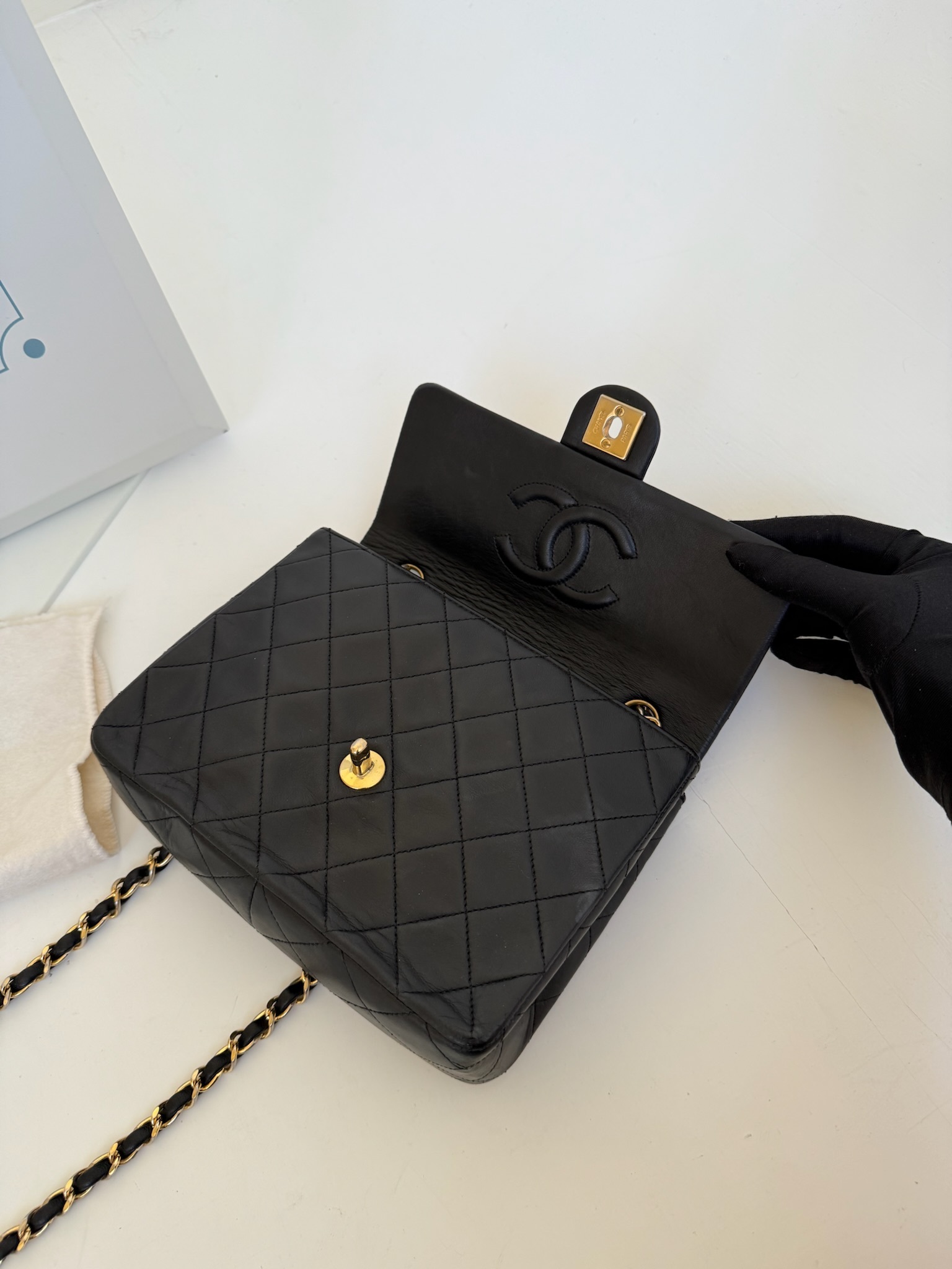 image_03977060-EBA6-4E26-BA3A-E4403EBDBF57_1766136756