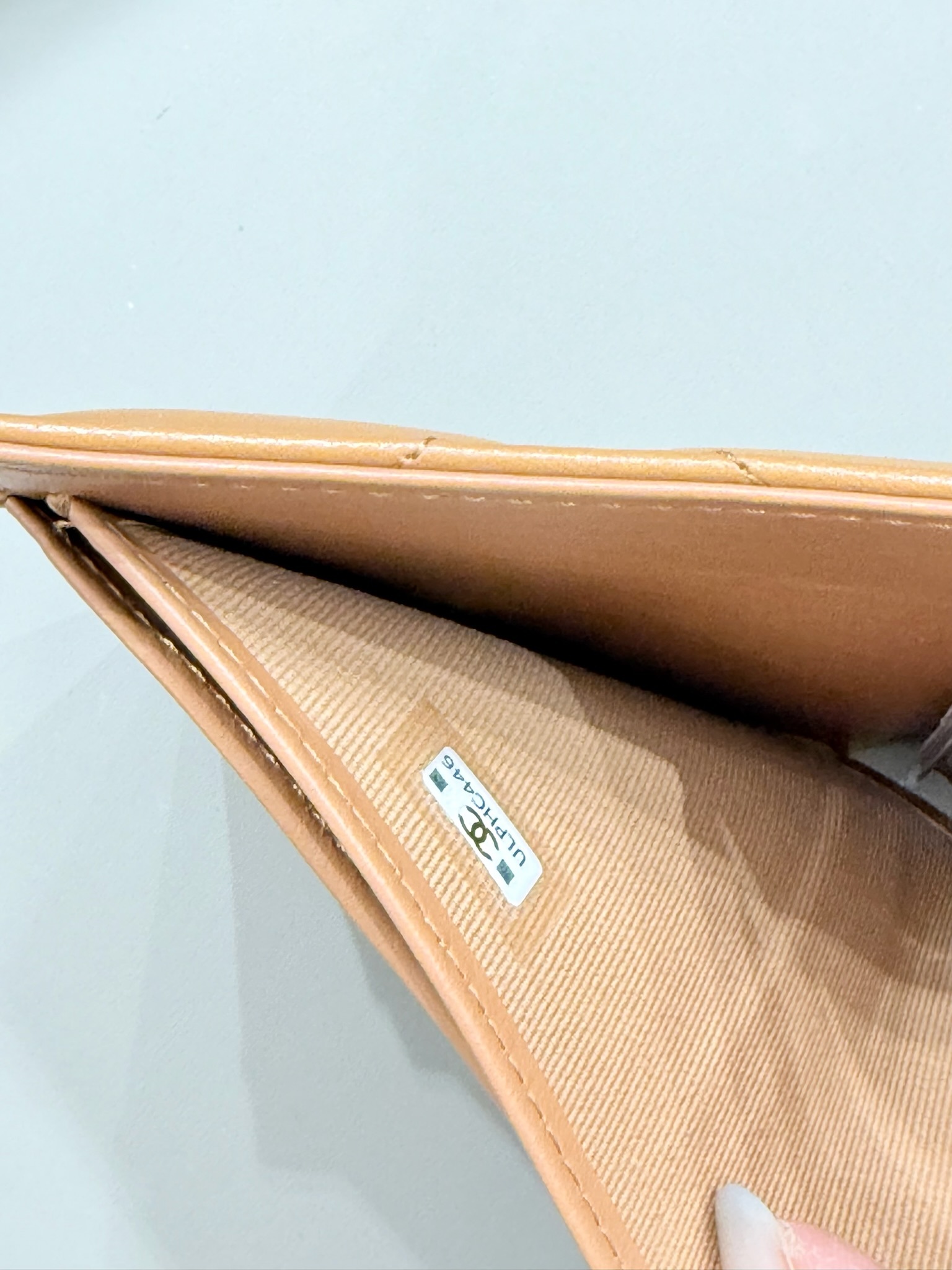 image_C8A90932-E089-4746-B216-0404D9434B1B_1770352769