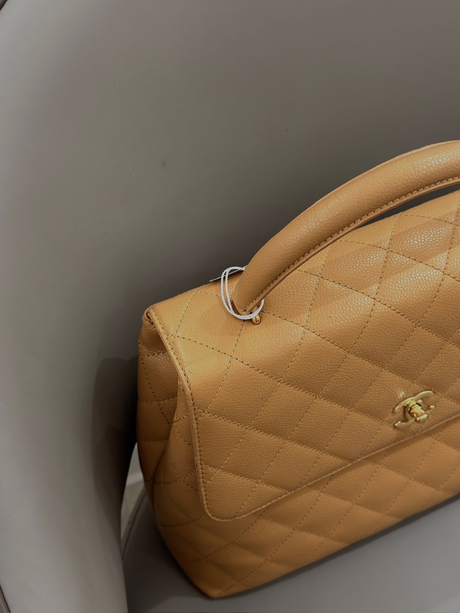 image_42F67CBD-9B9F-4A49-BF16-25E70899F9EF_1770354421