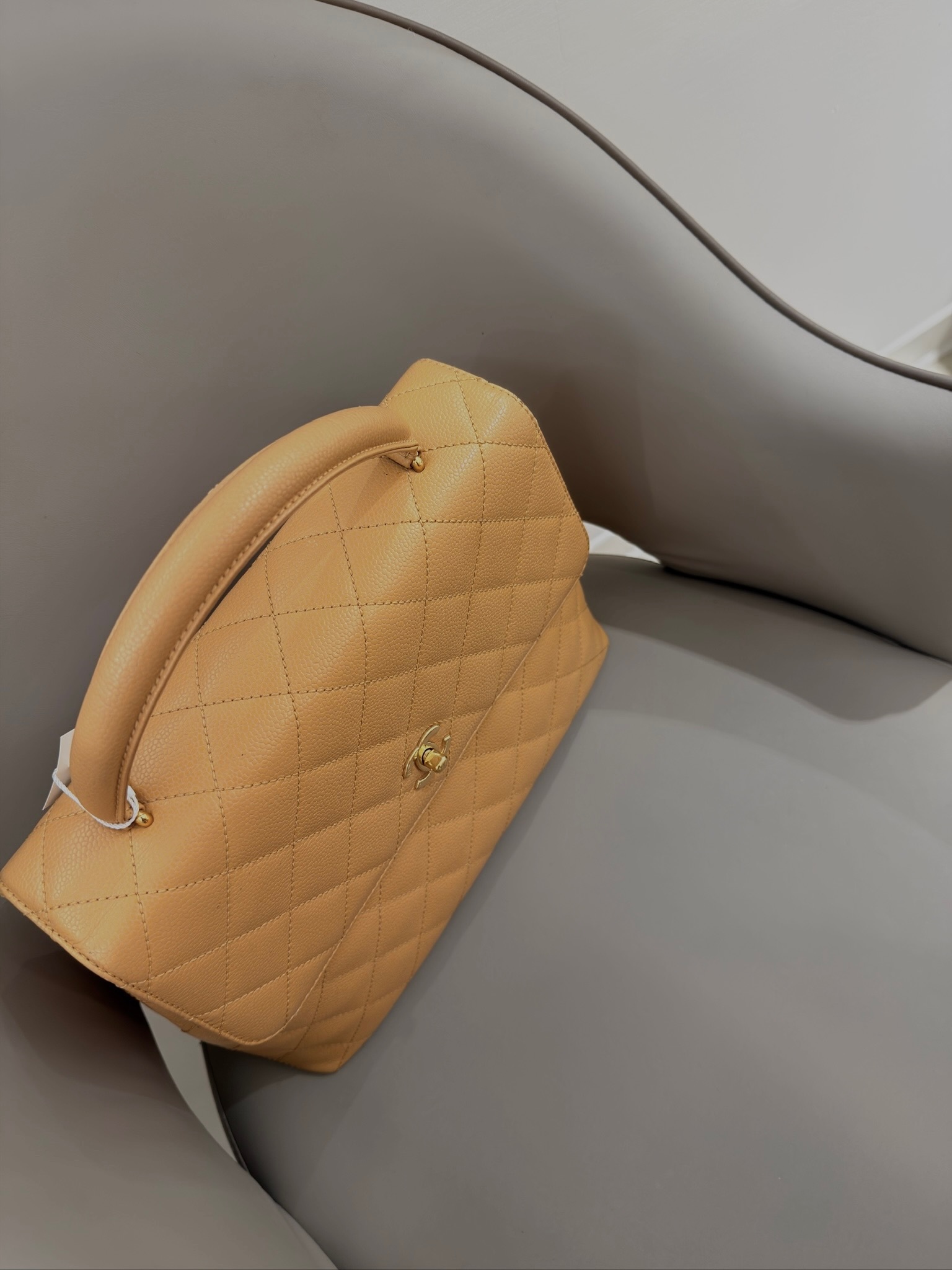 image_7931ED65-CF2D-48CB-9B9D-FCECE2E50027_1770354421