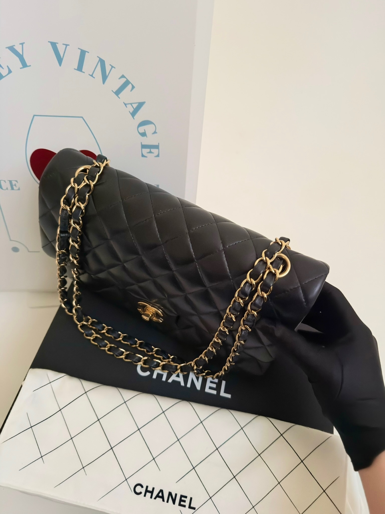 image_BA032302-E383-42A2-AA3D-B06420013E5C_1770358167