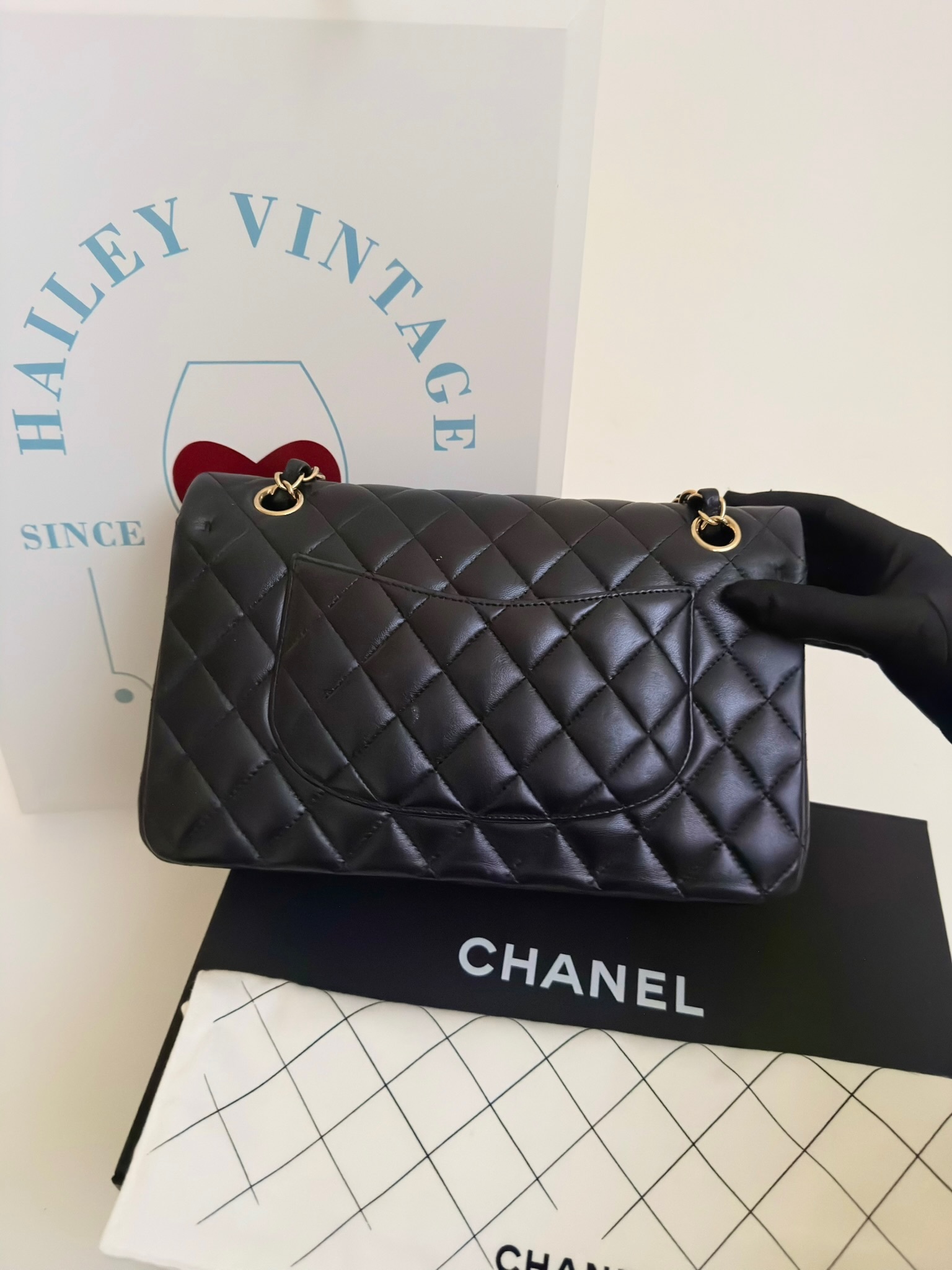 image_CE2726A7-316B-4431-9DA9-85E4255310F8_1770358167