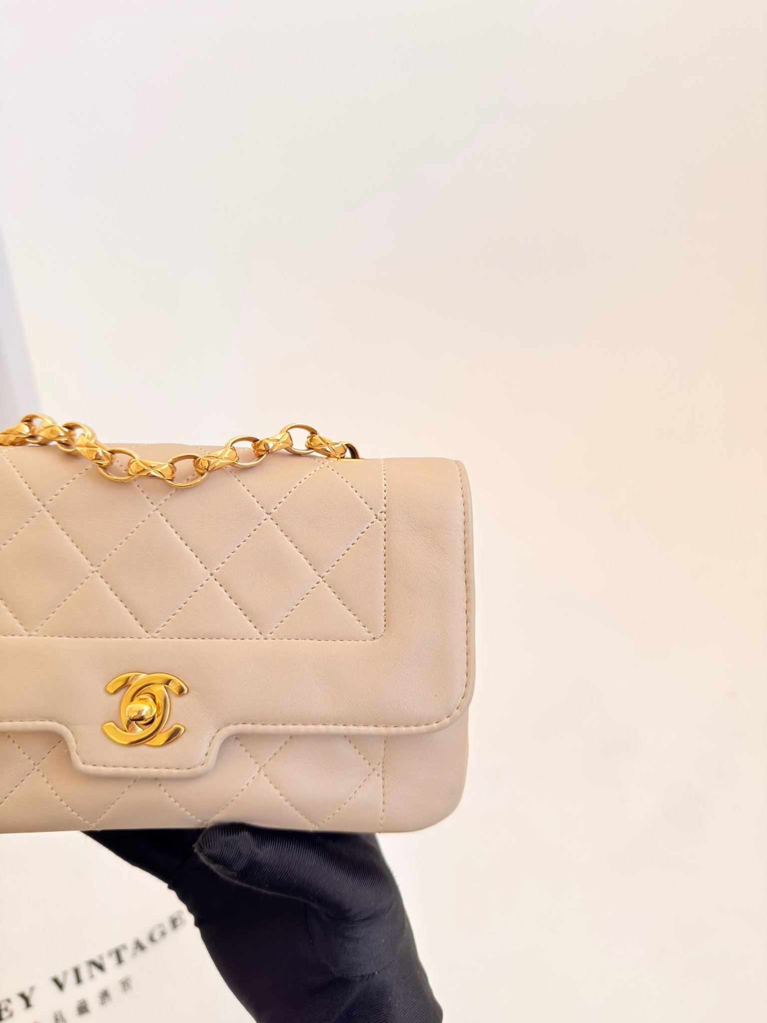 image_8E527141-5AA7-4344-8055-229A7AAFD0BB_1770573822