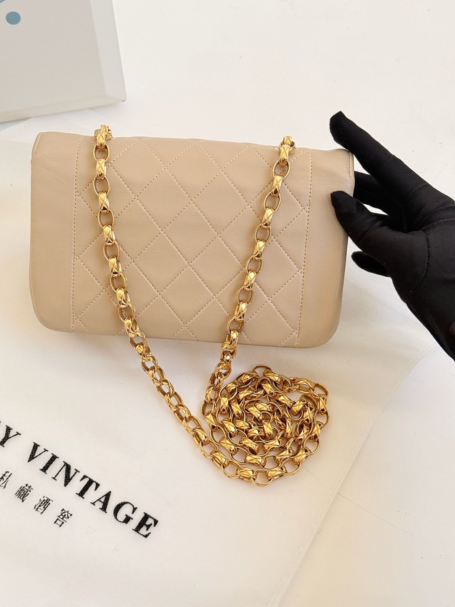 image_234F6D73-E710-44A0-AD5A-FFC6FBB4848C_1770573822