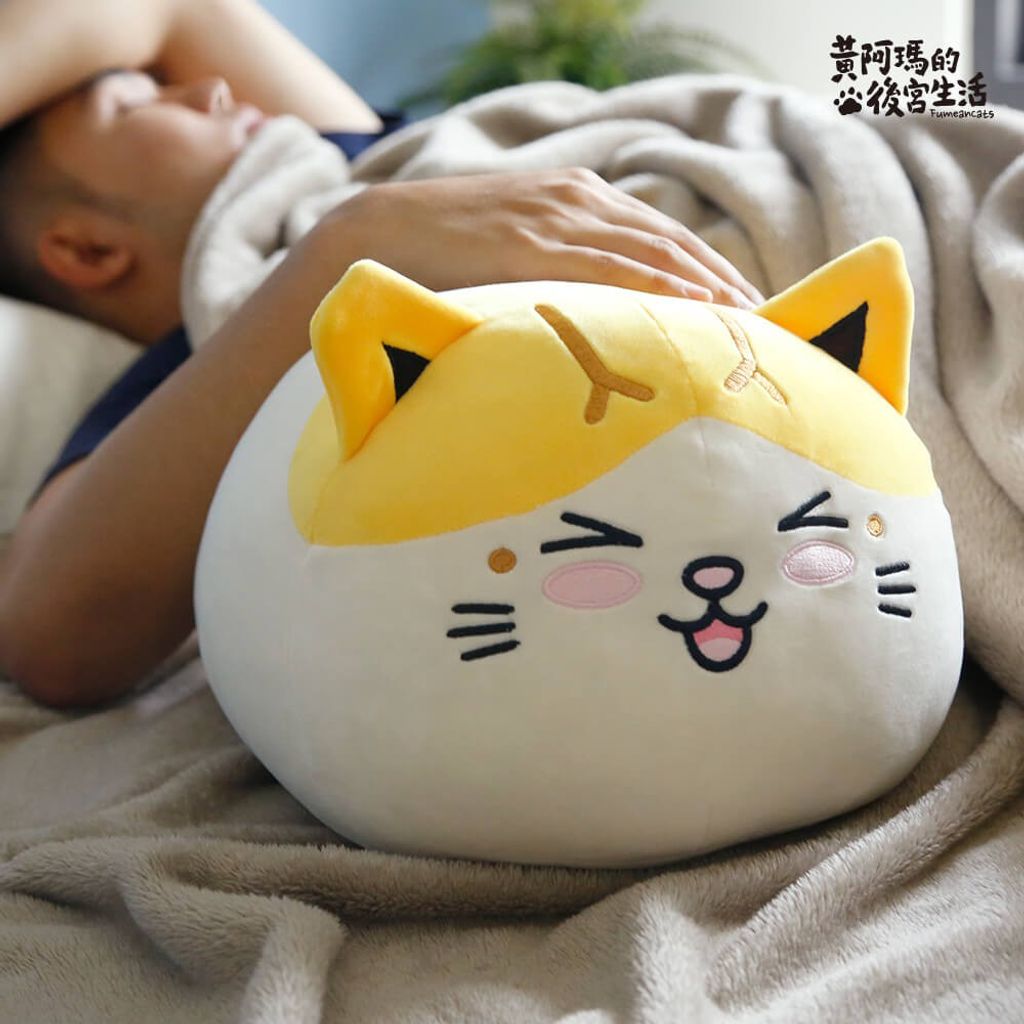 tw-11134207-7r990-ll9aw1j6wbblaa
